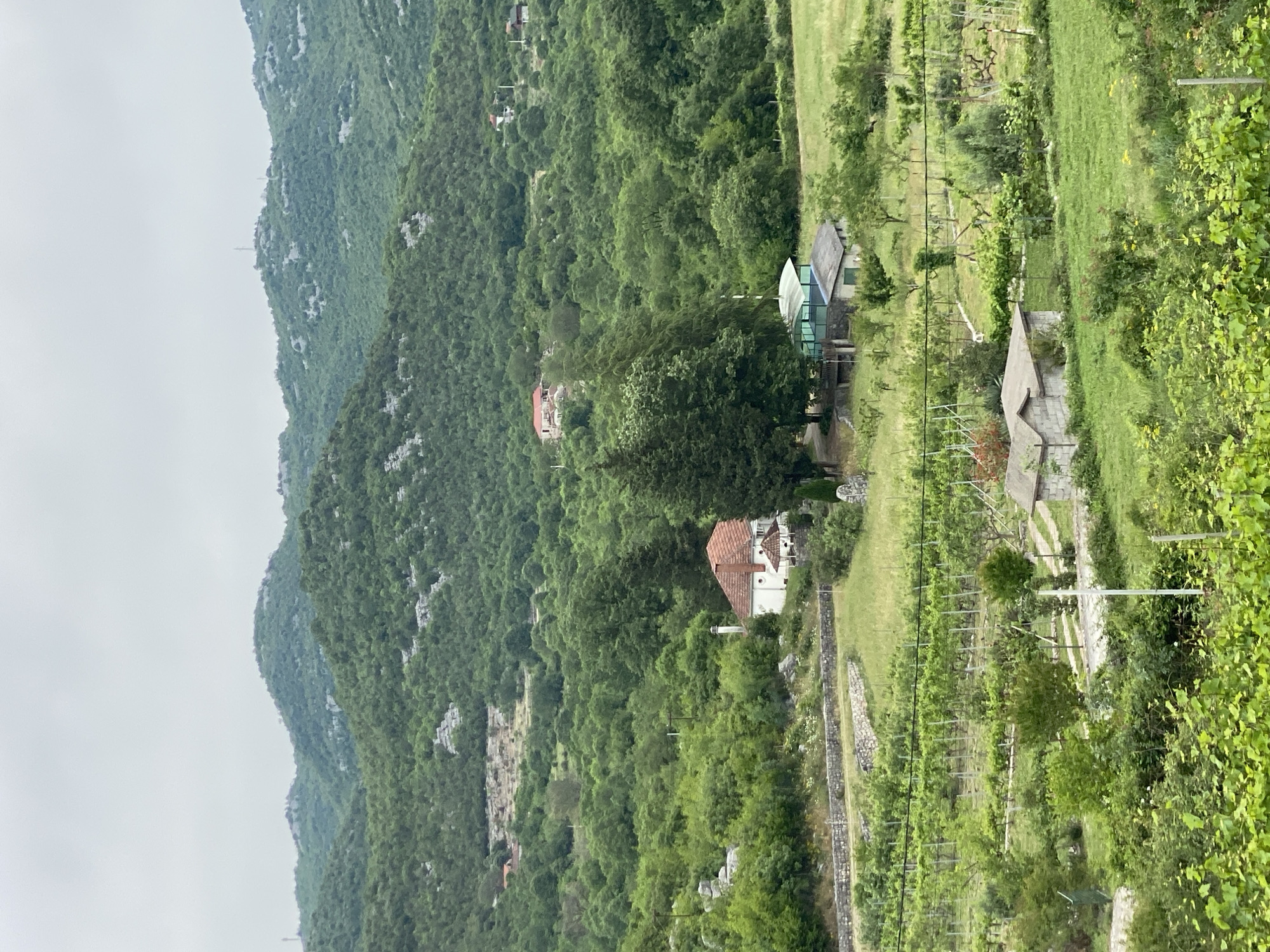 The image shows a landscape in Meterizi, Montenegro, featuring a lush, green mountain slope on the left and a vineyard on the right. A winding stone wall runs along the base of the mountain. Several buildings are visible amongst the trees, including one with a red tile roof. The vineyard includes rows of vines supported by posts. The sky appears overcast.