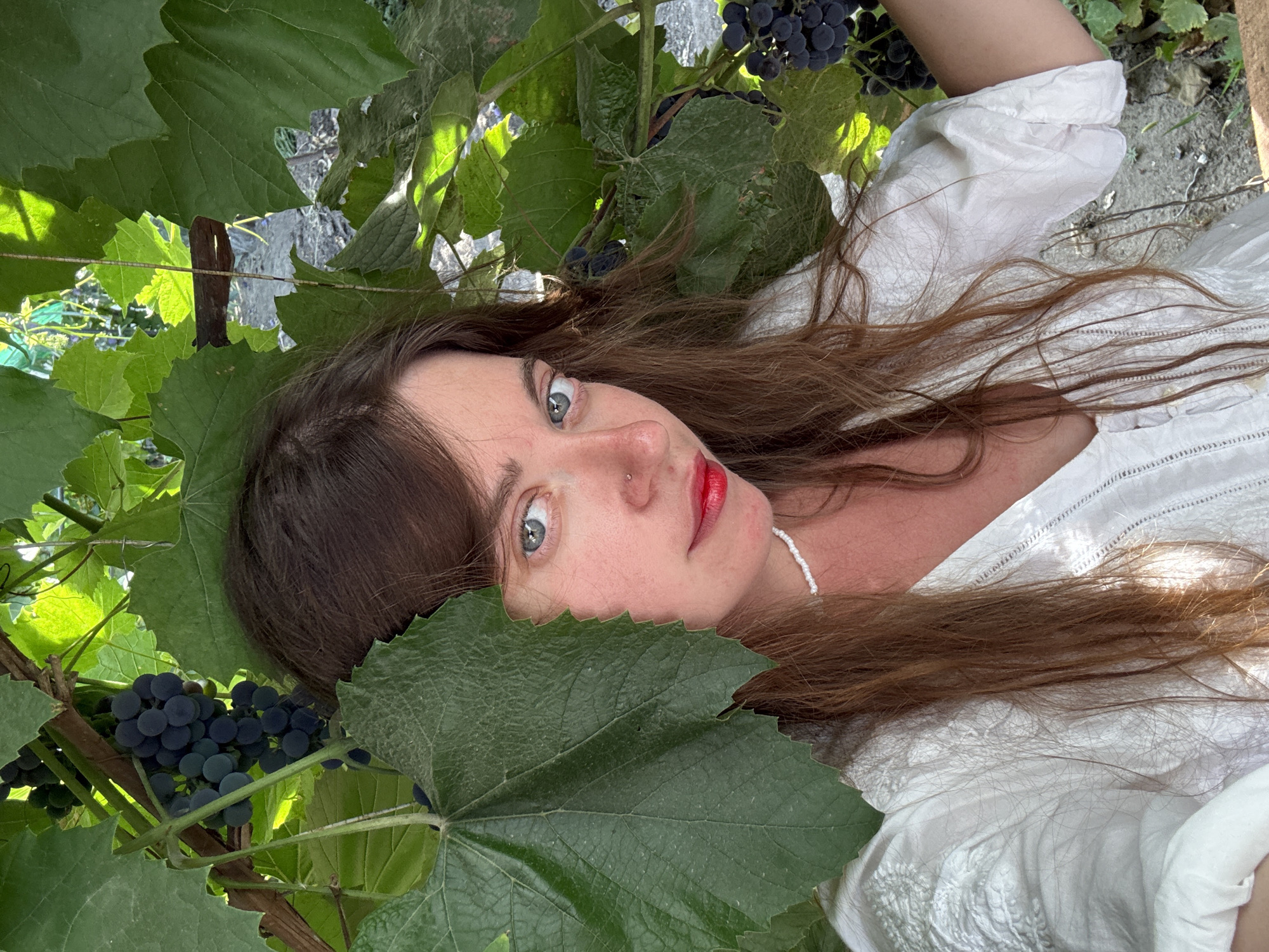In the city of Sol-Iletsk, Russia, a young woman with long, brown hair and blue eyes poses for a selfie amidst lush green grapevines. She is wearing a white top and has red lipstick on. The sunlight filters through the leaves, casting shadows on her face. Several bunches of dark purple grapes are visible, some partially obscured by leaves. The background suggests an outdoor setting, possibly a garden or vineyard, with visible soil and plant debris on the ground.
