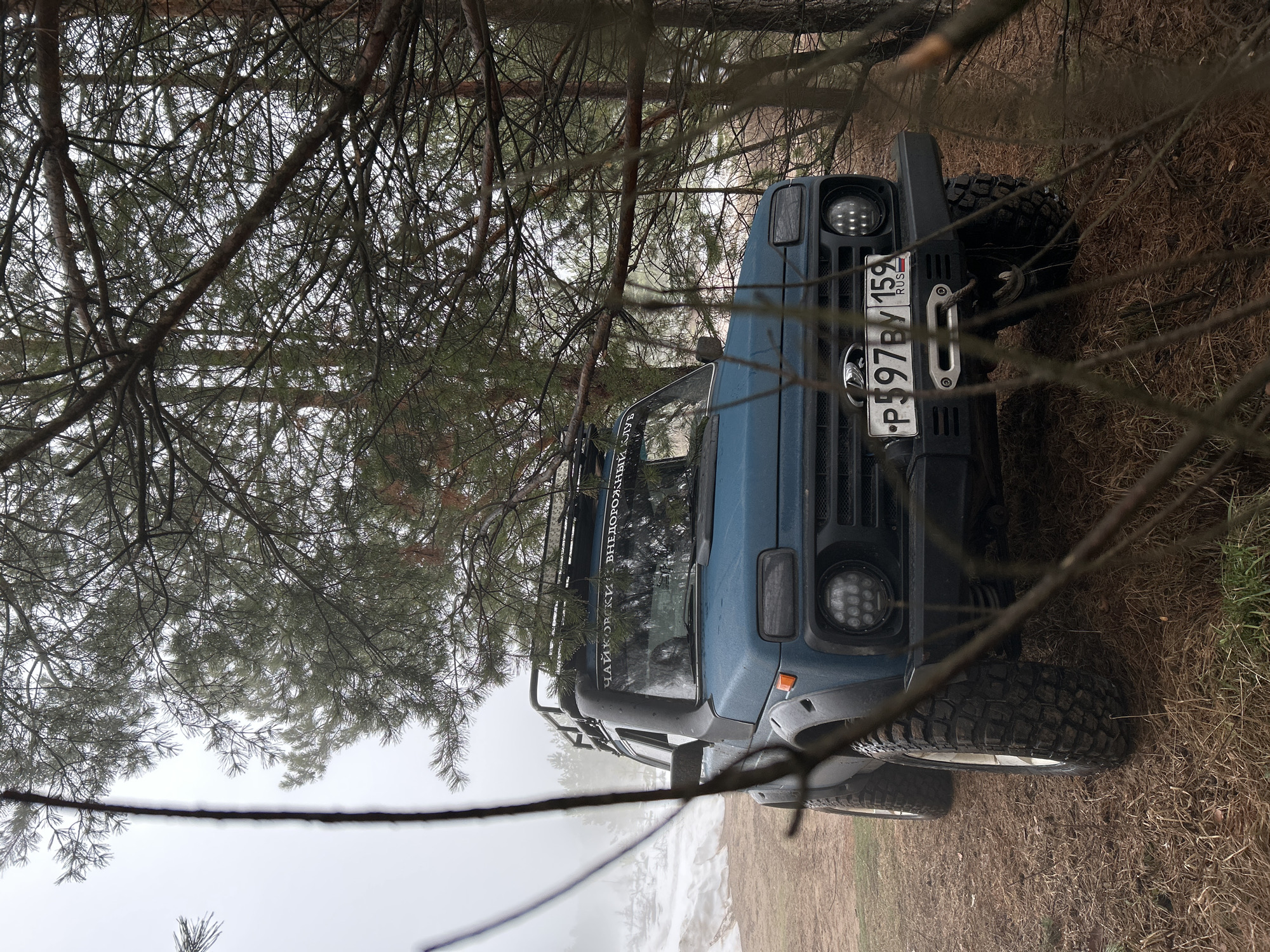 The image shows a blue Lada Niva SUV partially obscured by tree branches, positioned on a grassy, dry terrain possibly near a wooded area. The vehicle's license plate, "P 597 BY 159 RUS," indicates its registration in the Perm region of Russia, where the city of Chaikovsky is located. The text "ЧАЙКОВСКИЙ ВНЕДОРОЖНЫЙ КЛУБ" is visible on the windshield. The environment suggests an outdoor location, potentially in a natural or semi-natural setting within or near Chaikovsky.