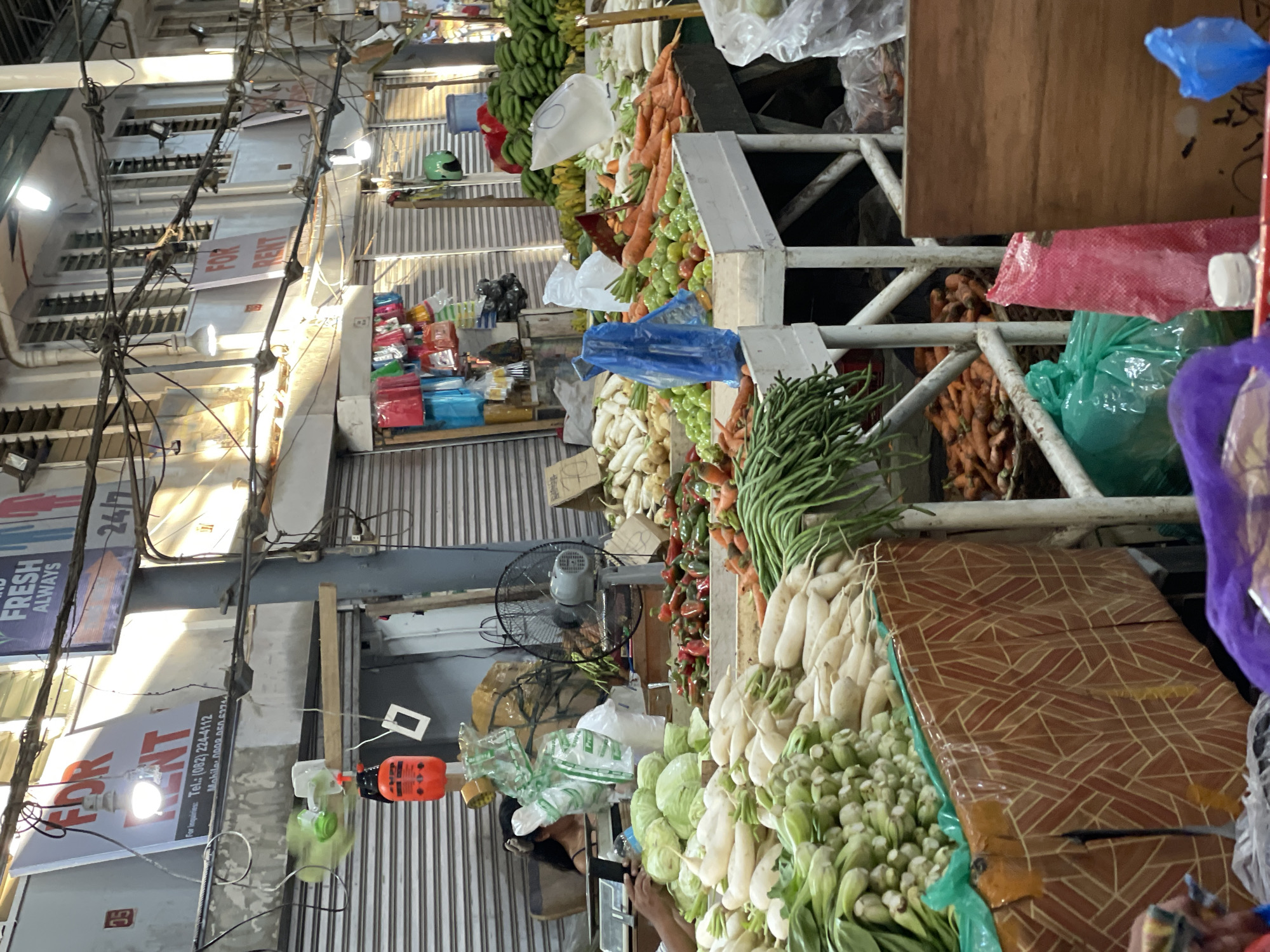 This image depicts an indoor fresh produce market in Davao City, Philippines. In the foreground and mid-ground, numerous market stalls display a variety of fresh vegetables. Prominently featured are large piles of white radishes, green leafy vegetables resembling bok choy or pak choi, and cabbages on a stall with a brown geometric patterned skirt. Adjacent stalls showcase carrots, green long beans, and a mix of red and green chili peppers. Green, unripe bananas are stacked in the background.
A person is partially visible behind a stall on the left, near a weighing scale, suggesting a vendor. Another arm is visible in the lower-left foreground. Overhead, exposed electrical wiring and conduits crisscross the frame. Several light bulbs illuminate the scene. A "FOR RENT" sign with the Davao City area code (082) is visible above one of the closed roller shutter doors in the background, confirming the location. Another sign reads "FRESH ALWAYS" and "24/7".
Market infrastructure includes white metal frames supporting the stalls and wooden display crates. Various plastic bags (blue, green, pink, purple, white) are scattered or used for packaging. Two fans are visible: a small green one attached to a wooden beam near the "FOR RENT" sign and a larger grey standing fan positioned behind the chili peppers. Other hanging objects include colorful plastic bags and a red sprayer-like item. The background features multiple closed metal roller shutter doors and slatted windows on an upper floor, indicating a multi-unit commercial structure. The overall environment is a busy, functional market space.