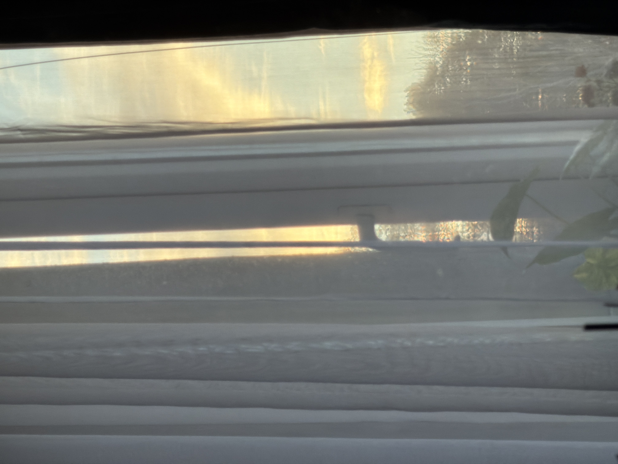 A view from inside a room looking out through horizontal blinds. Outside the window, the sky is visible, illuminated by the setting sun, casting golden light on what appears to be a silhouette of trees. A portion of a houseplant is visible on the right side of the frame. The location cannot be determined.