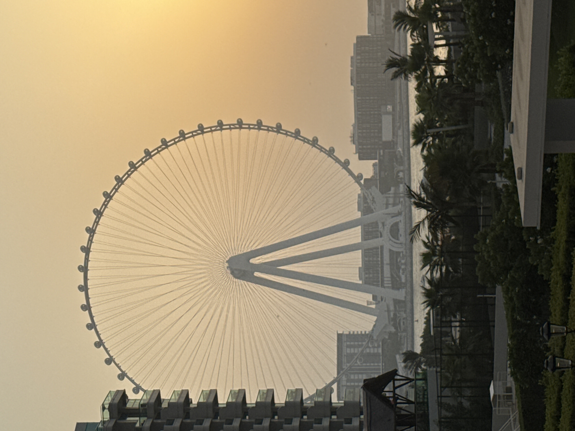 The image depicts Ain Dubai, the world's largest observation wheel, located on Bluewaters Island in Dubai, United Arab Emirates, during a sunset or sunrise. The massive Ferris wheel dominates the frame, with its spokes radiating from the central hub. The structure is white and triangular at its base, supporting the large circular wheel. To the left of the Ferris wheel, a modern, multi-story building with balconies is visible, suggesting a residential or hotel complex. In the background, across a body of water, a cityscape with various buildings and structures can be seen, also bathed in the warm, hazy light of the setting or rising sun. Palm trees and other lush greenery are present in the foreground and mid-ground, indicating a tropical or sub-tropical environment. The overall atmosphere is serene and majestic, characteristic of a coastal city at dusk or dawn. There are no people visible in the image.