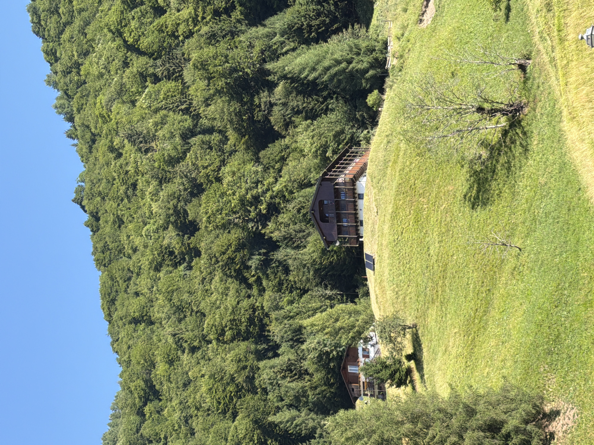 The image depicts a sun-drenched, green hillside in Sauris / Zahre, Italy. Two wooden houses with balconies are situated on the slope, with one larger house featuring a multi-level design and extensive decking. The houses are surrounded by lush green grass and scattered trees, some of which are deciduous and bare of leaves, while others are evergreen. A dense forest of deciduous and coniferous trees forms a thick backdrop behind the houses, climbing up a steep mountain. The sky is a clear, vibrant blue, indicating a sunny day. Solar panels are visible on the ground near one of the houses. A wooden fence runs along the upper edge of the hillside in the background. The overall scene conveys a serene, rural mountain landscape.
