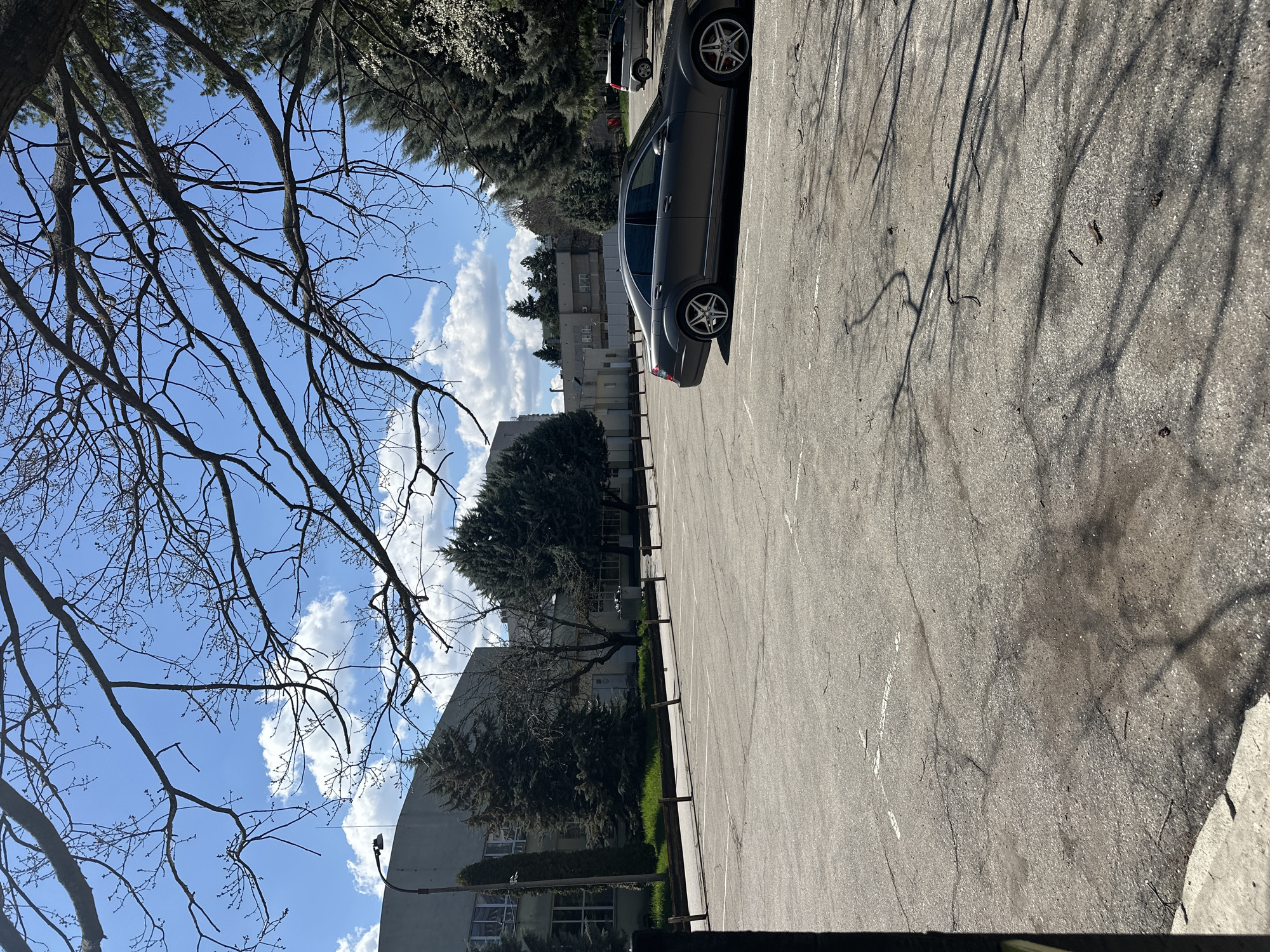 The image shows a parking lot in Sofia, Bulgaria on a sunny day with blue skies and scattered clouds. The parking lot is mostly empty except for a few dark-colored cars parked in a row along one side. The pavement is cracked and worn, with faded white lines marking the parking spaces. Shadows of trees are cast across the pavement. On the left side of the image are bare tree branches reaching up towards the sky. In the background are buildings and green trees.