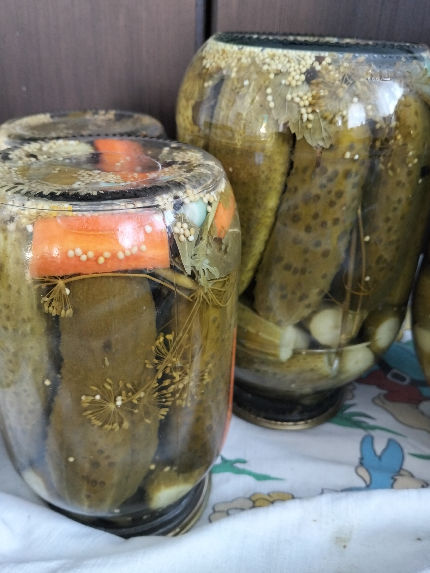 The image shows two glass jars filled with pickled cucumbers and carrots. The jars are positioned on a white cloth with a cartoon print. The background consists of a dark wooden surface. The jars contain pickles, sliced carrots, dill, bay leaves, and mustard seeds submerged in brine. The lighting suggests an indoor setting. The scene appears to be a domestic environment, likely a kitchen or pantry, showcasing homemade preserved food. There is no visible indication of the city of Oktyabrsky, Russia, in the image.