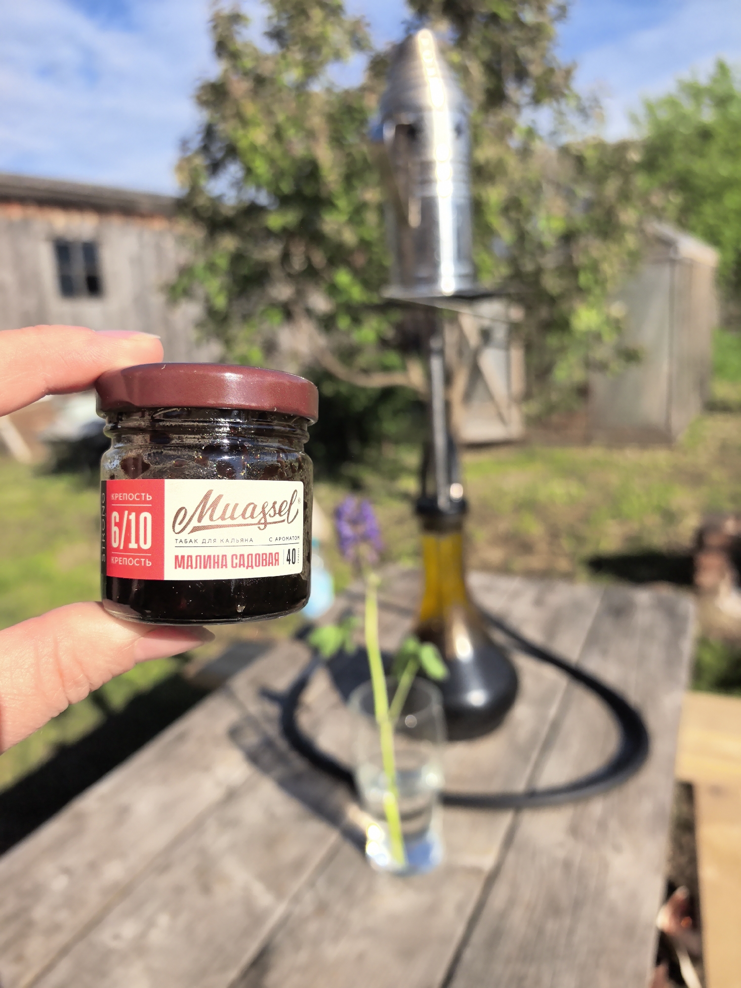 A person holds a small jar of "Muassel" tobacco with a "6/10" strength rating in front of a hookah. The tobacco is labeled "Raspberry Garden" and the jar is made of clear glass with a brown lid. The hookah is set up on a weathered wooden table with a glass of water and flowers. In the background, there is a wooden building with a single window, a greenhouse, and trees. The location is outdoors, in a yard or garden setting.