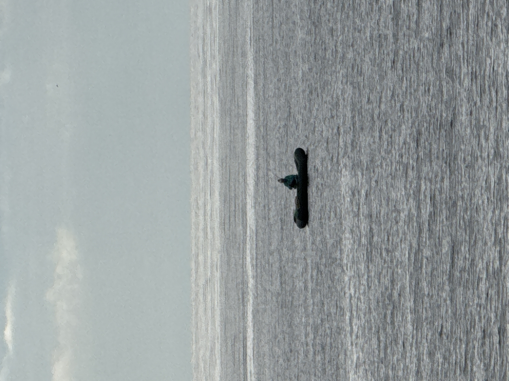 A person sits alone in a small, dark inflatable boat on a vast, choppy, gray body of water. The sky above is overcast with pale, hazy clouds. The horizon is indistinct, blending the water and sky. The person is wearing a dark jacket and appears to be looking forward. The boat is positioned in the center of the frame, dwarfed by the expansive, textured water. The overall scene suggests solitude and a sense of being adrift. The location is not specified in the image or provided context.