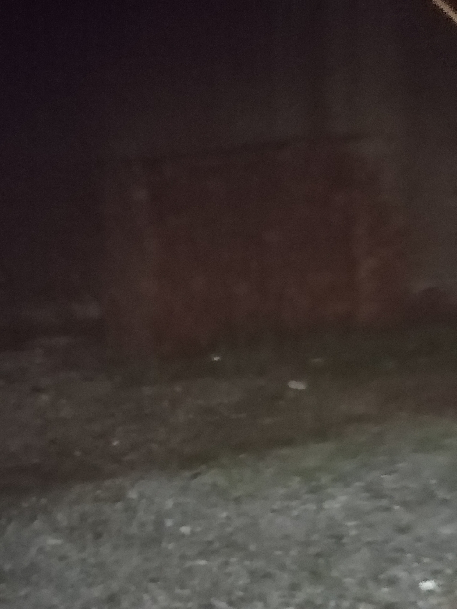 A nighttime, low-light, and blurry photograph captures a dark, somewhat textured surface, possibly a wall or fence, in the upper portion. The lower portion of the image shows a rough, uneven ground with small pebbles or debris. There are a few faint, indistinct lighter-colored spots scattered across the ground. The overall scene is dark and lacks clear details due to the lighting and image quality, making specific identification of objects or people difficult.
