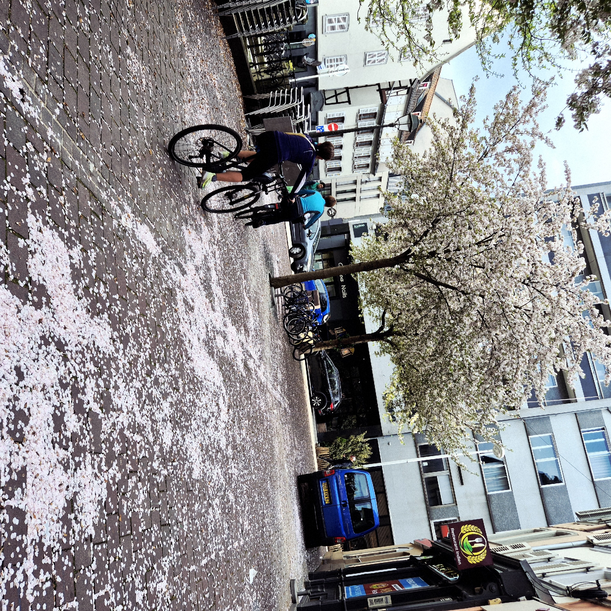 The image shows a street scene in Strasbourg, France. A paved street is covered with fallen white blossoms. Two people on bicycles are riding along the street. Parked bicycles are visible near a tree, which is also in full bloom. Parked cars line the street. Buildings of varying heights and architectural styles are on either side of the street. A sign for a restaurant with a picture of a spoon, fork, and leaf on it is near the bottom of the frame. A blue car is also visible.