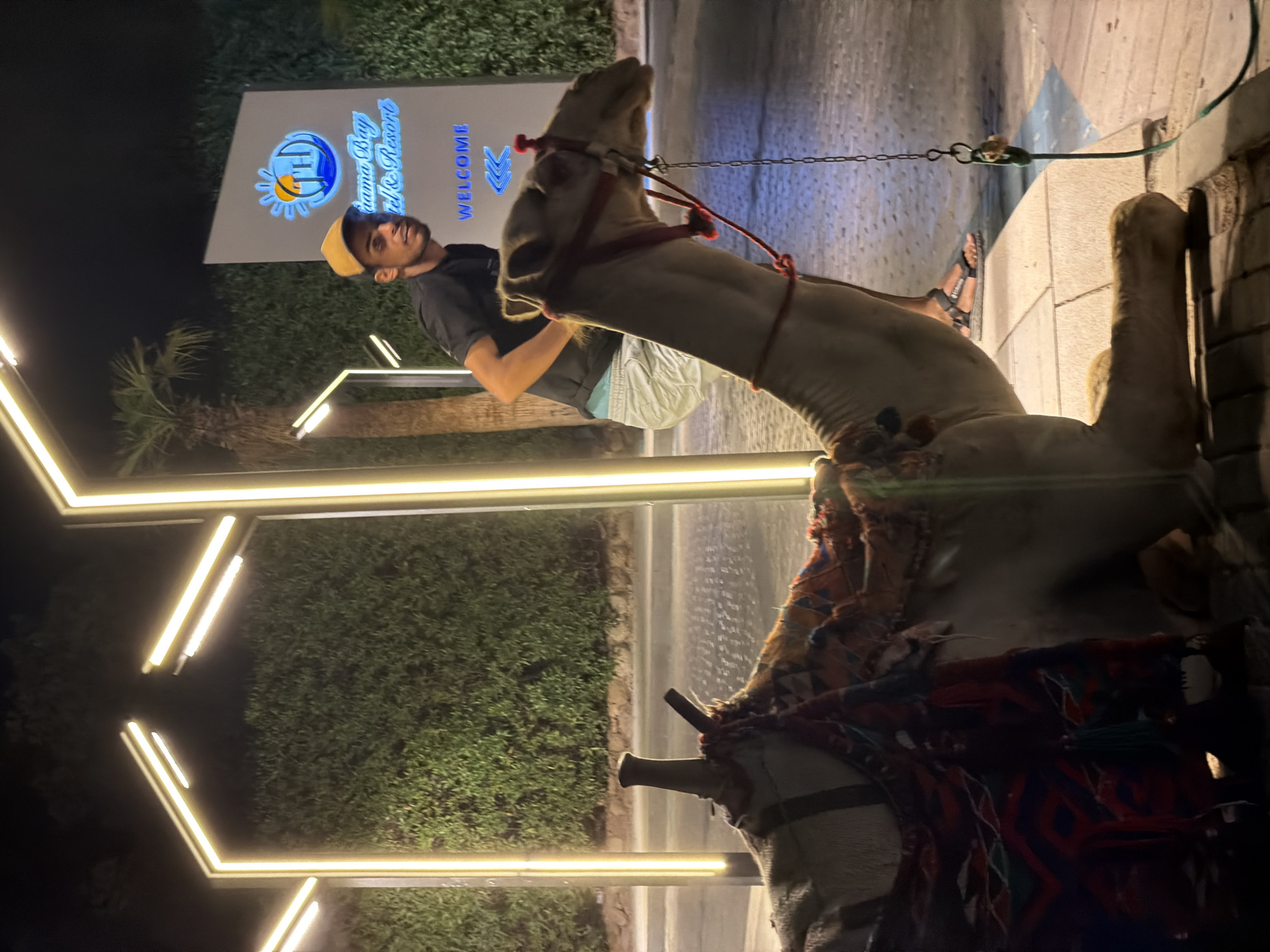 A young man wearing a black t-shirt, light-colored shorts, and a yellow baseball cap stands near a camel in the evening. The camel is wearing a saddle with a colorful woven blanket. Behind them, a sign reads "Sharm El Sheikh Hotel & Resort WELCOME". The scene is lit by modern, angular lights, and the background is filled with lush green hedges and palm trees. The man is looking to his right, and the camel is facing forward. The ground is paved with light-colored tiles.