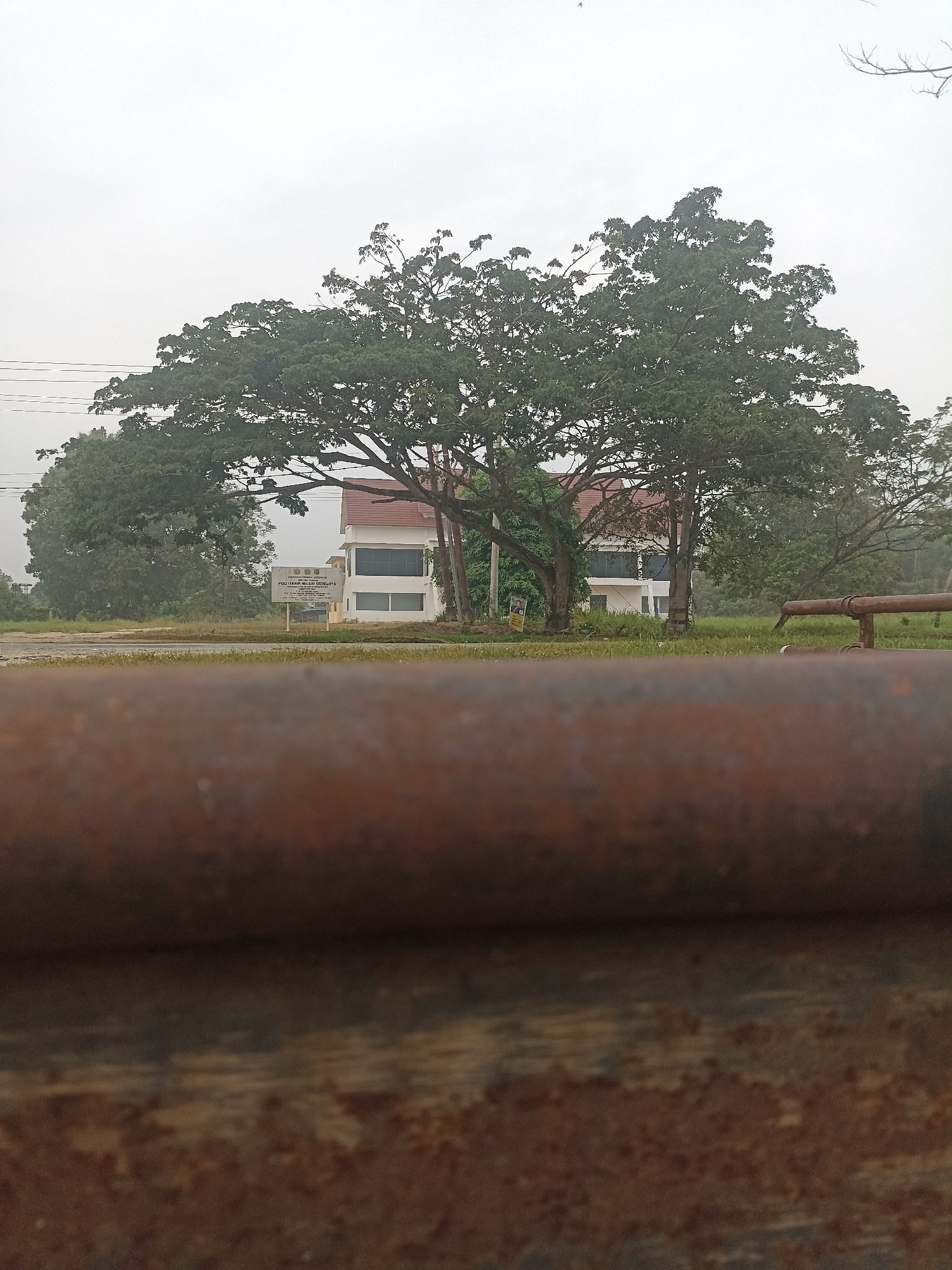 In Kampung Tengah, Indonesia, on an overcast day, a large, leafy tree with sprawling branches dominates the center of the frame. Behind the tree, a two-story white building with a reddish-brown roof is visible. A signpost stands to the left of the building, displaying text. The foreground is blurred, showing a rusty, horizontal metal object. Beyond the building, more trees and greenery can be seen, suggesting a rural or semi-rural setting. The ground in front of the building is covered in grass, and a dirt or gravel path runs through it. The sky is a pale, uniform grey, indicating the presence of clouds. There are no people or animals visible in the scene.
