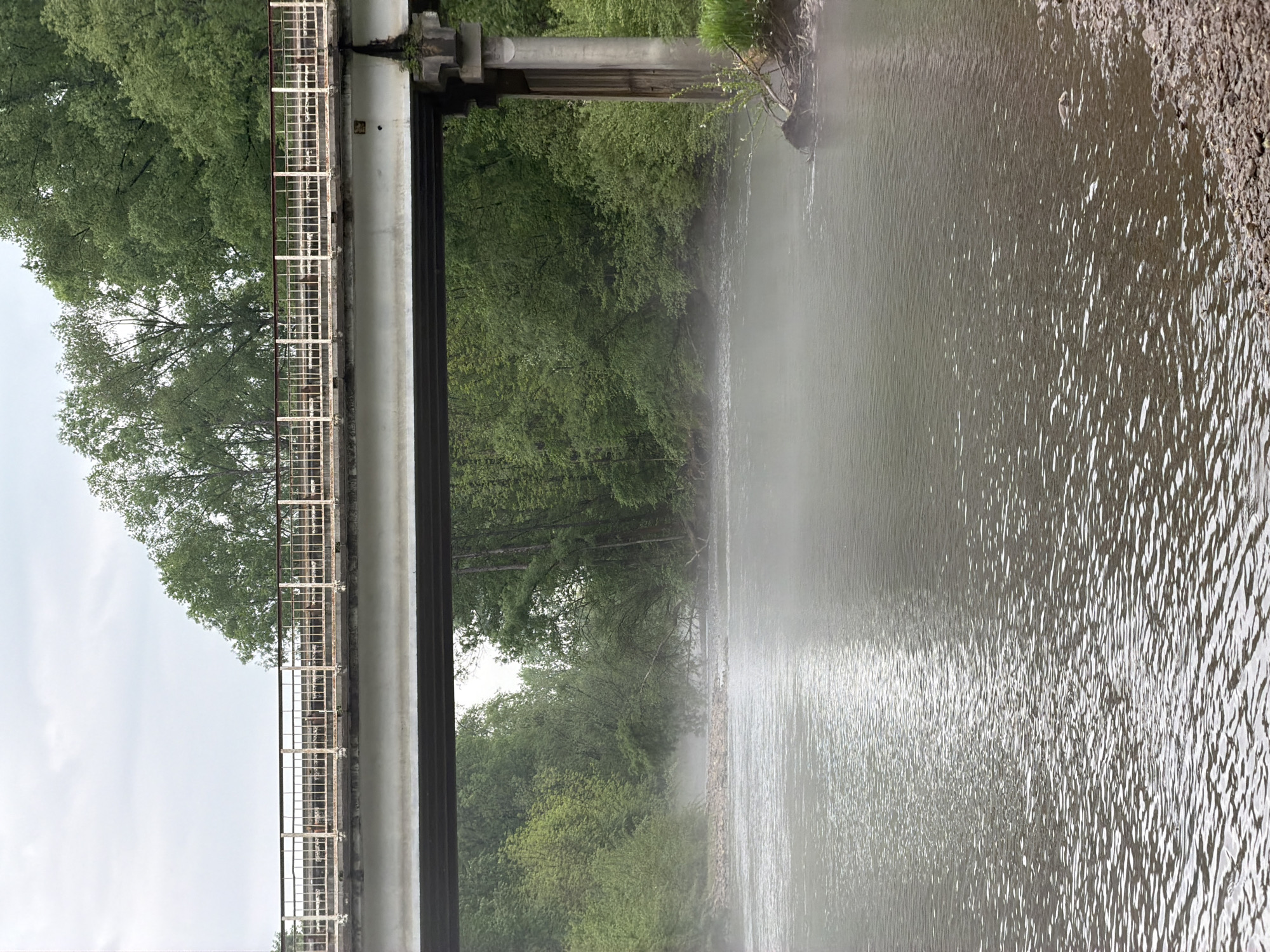The image shows a bridge over a body of water. The bridge has white railings and a gray support structure. Lush green trees line both sides of the water. The water surface is rippled, and there appears to be a small waterfall or rapid just beyond the bridge. The location is possibly Семисточный, Russia.