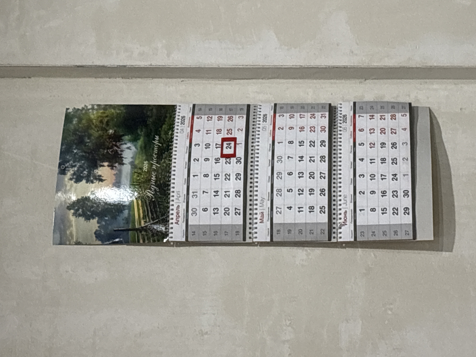 The media file displays a spiral-bound wall calendar for the year 2026, hanging vertically on a light-colored, possibly painted or tiled, wall in what appears to be an indoor setting. No people or activities are visible.
The calendar shows three main month sections: April, May, and June of 2026. The April page (Апрель) is at the top, followed by May (Май), and then June (Июнь) at the bottom. A prominent red rectangular outline highlights the date "24" on the April page. Each month section also displays its corresponding numerical month and year, e.g., "04|2026" for April.
The top left portion of the calendar features a scenic image depicting a natural landscape with lush green trees, reflections on water, and what might be a distant path or structure. Overlaid on this image in decorative script is the Russian text "Родные просторы," which translates to "Native expanses" or "Homeland spaces."
The calendar's pages are laid out with days of the week and dates, with weekdays typically in black and weekend dates (Sundays) possibly in a different color, although the image quality makes precise color identification difficult for all elements. The overall aesthetic suggests a calendar produced in Russia, consistent with the provided location context of Izhevsk, Russia.