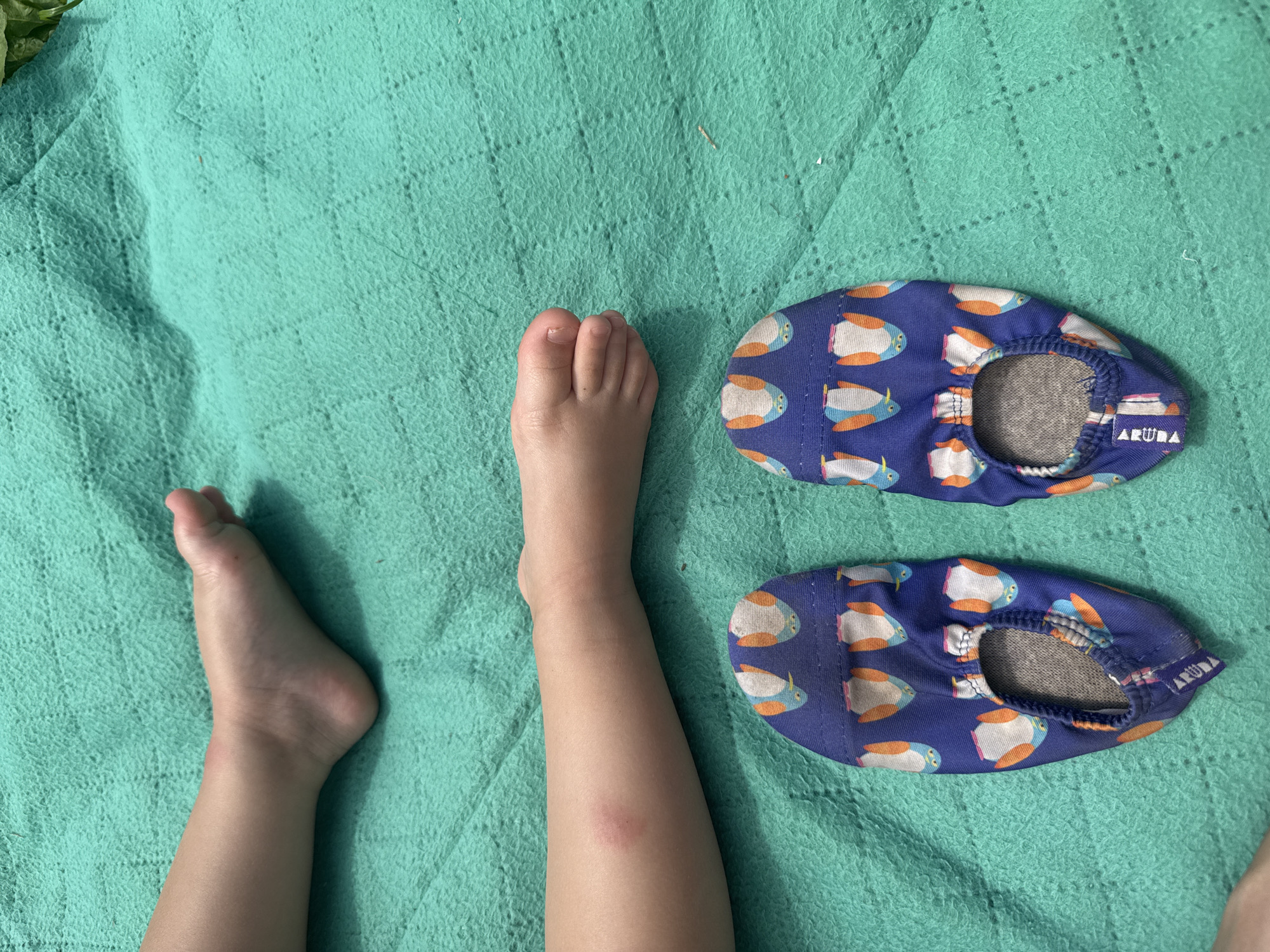 In an outdoor scene on a teal quilted blanket, two child's feet are visible, with two blue water shoes adorned with a penguin pattern lying on the blanket in front of them. The child's legs and feet are slightly red, suggesting possible irritation or sunburn. The setting is likely a recreational area within Дзержинец-83 Снт, Russia, given the mention of the location.