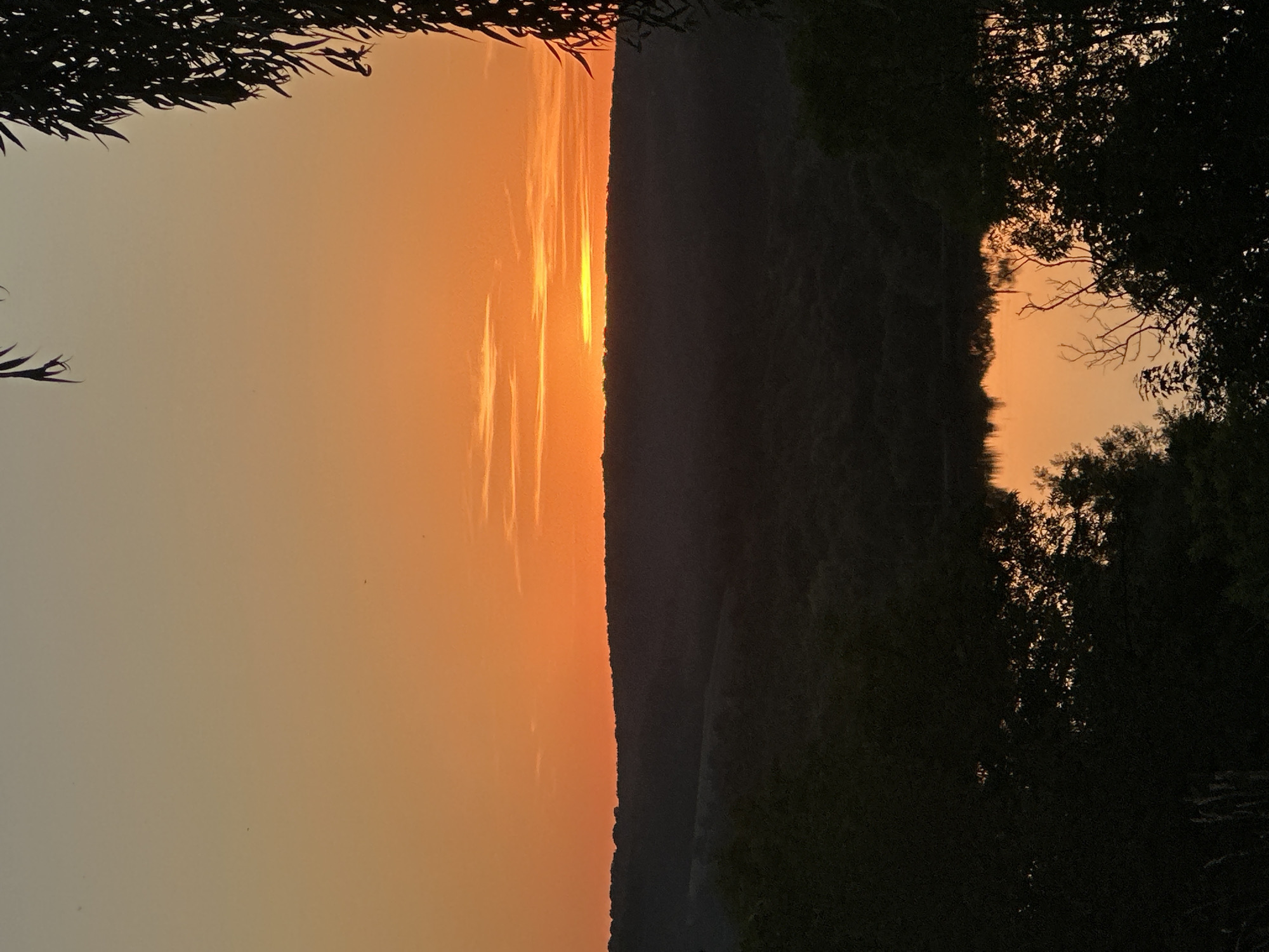 The image depicts a sunset over a body of water, likely a river or lake, in Makiv, Ukraine. The sky is filled with vibrant shades of orange and yellow, transitioning to a softer peach hue near the top. Silhouetted against the colorful sky are rolling hills covered in dense vegetation, creating a dark, undulating horizon line. In the foreground, the dark silhouettes of trees frame the scene, with some branches and leaves encroaching on the edges of the frame. The water reflects the warm colors of the sunset, creating a shimmering surface. The overall impression is one of natural beauty and tranquility during the golden hour.
