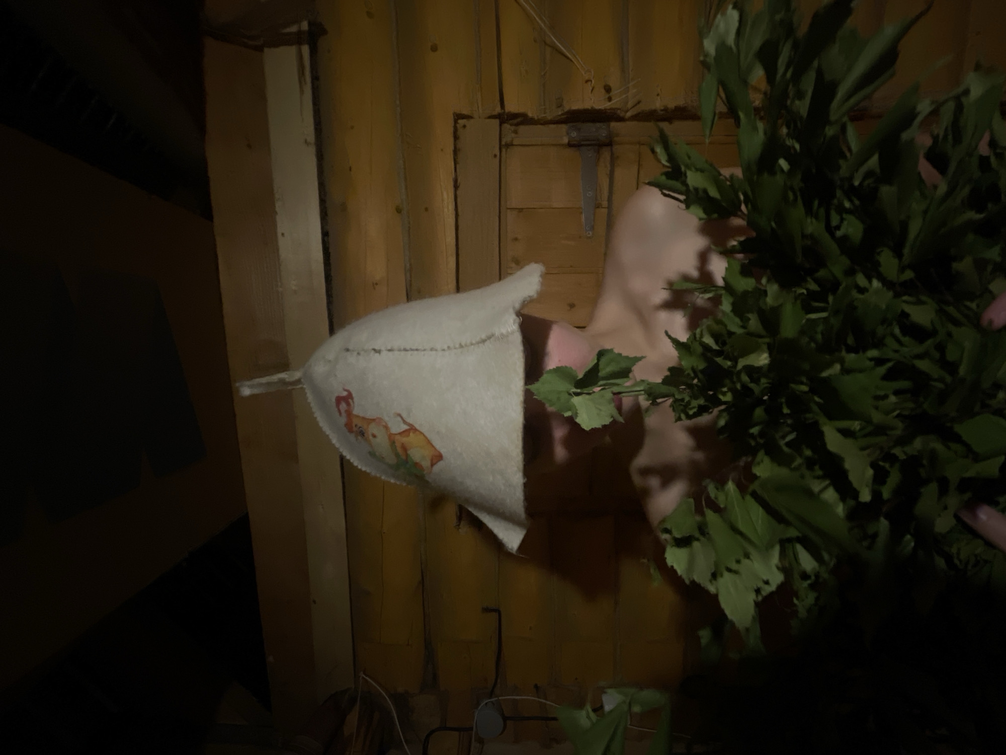 The image depicts a person wearing a white sauna hat with an image of a cartoonish brown and orange creature on it. The person is in a wooden sauna, with walls made of horizontally stacked logs. A dark green leafy branch is held in front of the person, partially obscuring their face. The lighting is dim, creating shadows on the wooden walls and ceiling. A closed wooden door with a metal hinge is visible on the right side of the frame. The overall environment suggests a traditional sauna experience in a rural or rustic setting, possibly in Sharkan, Russia, known for its natural landscapes and cultural traditions, which may include such saunas.