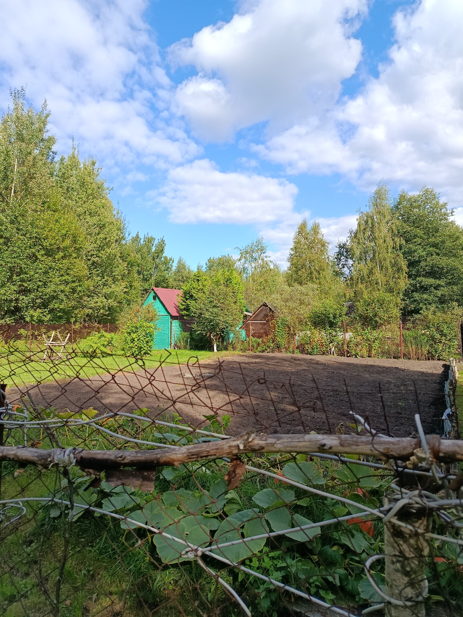 This image depicts a rural scene in the city of Vereya, Russia. In the foreground, a rusty chain-link fence with a weathered wooden branch strung across it partially obscures a patch of green vegetation with large leaves. Beyond the fence, a cultivated plot of dark soil is visible. In the middle ground, a small, bright green wooden house with a red roof stands amongst trees and bushes. To the right of the house, a smaller, weathered wooden structure with a sloped roof is present. The background is dominated by a dense line of mature trees under a bright blue sky with scattered white cumulus clouds. The overall impression is one of a peaceful, bucolic setting.