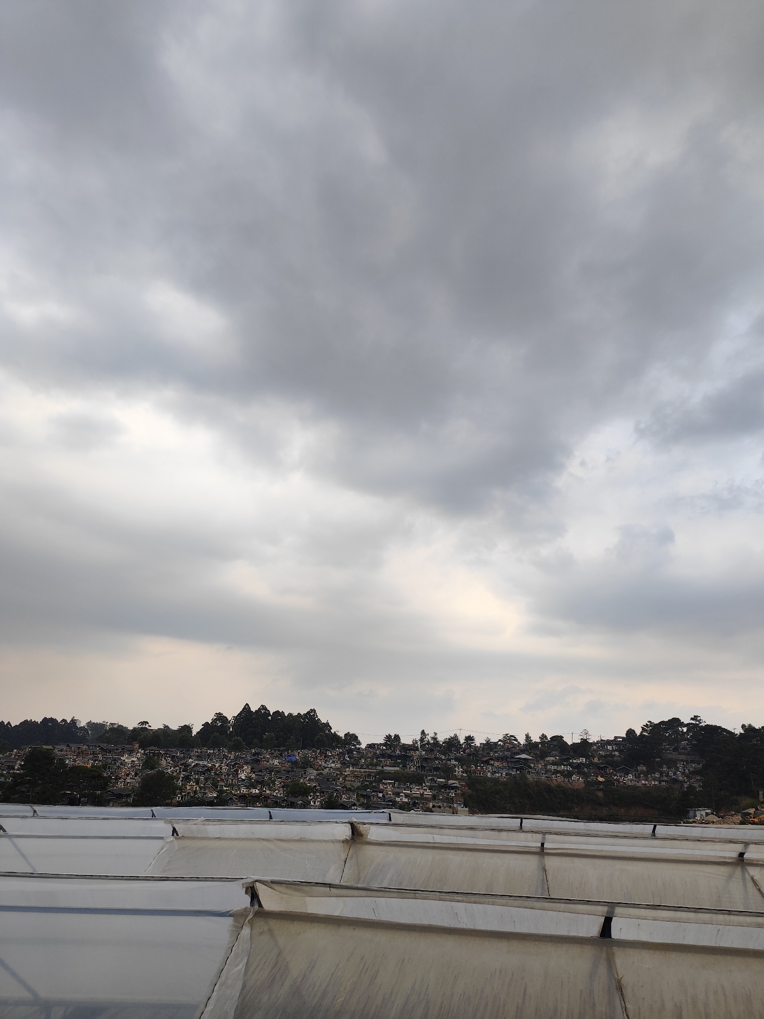 The image shows a landscape in Cam Ly, Da Lat, Vietnam, under a cloudy sky. In the foreground are rows of plastic greenhouses. In the middle distance, a hillside is densely populated with small houses and trees. The sky is overcast with gray clouds.