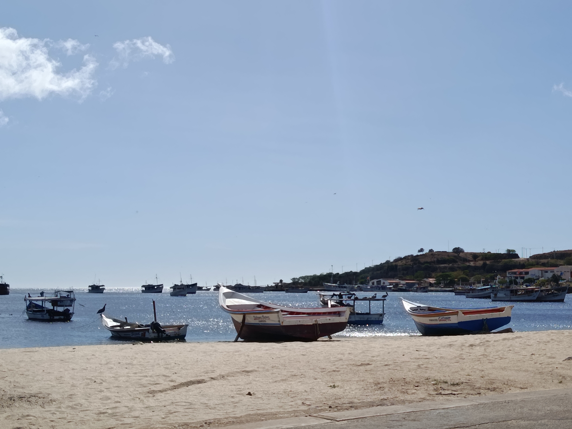 The image depicts a serene coastal scene in Juan Griego, Venezuela, with a calm, blue ocean stretching towards the horizon under a clear, pale blue sky dotted with a few wispy clouds. Several boats are visible in the water, ranging from small fishing vessels to larger, more established craft. Some boats are anchored, while others appear to be moored closer to shore. The foreground is dominated by a sandy beach, where a few boats are beached or pulled up onto the sand, suggesting they are either out of use or awaiting maintenance. The background shows a hilly coastline with scattered buildings, indicating the presence of a town or village. The overall atmosphere is peaceful and tranquil, with the gentle lapping of waves and the presence of the boats hinting at a maritime community. There are no people visible in the frame.