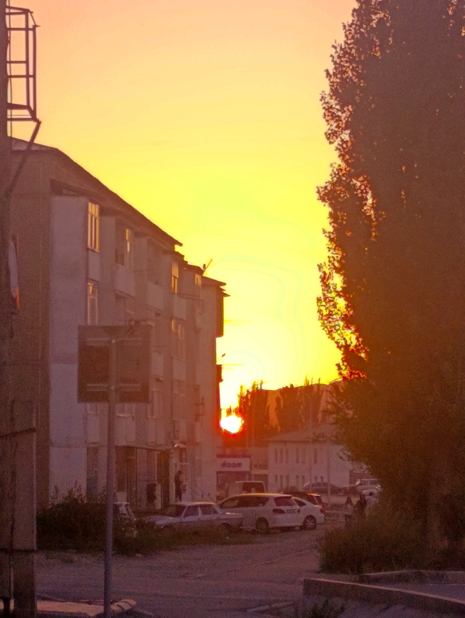 The image depicts a street scene at sunset in Naryn City, Kyrgyzstan. The sky is a vibrant gradient of yellow and orange, indicating the setting sun. In the foreground, a large, dark tree is silhouetted on the right side of the frame, with its leaves visible. To the left, a multi-story apartment building with several windows and balconies dominates the scene. A street sign on a pole stands in front of the building. Several parked cars are visible on the street, including a white van, a white sedan, and a light-colored older model car. A few indistinct figures of people can be seen walking or standing near the buildings and cars. The overall impression is a residential area of the city during twilight.
