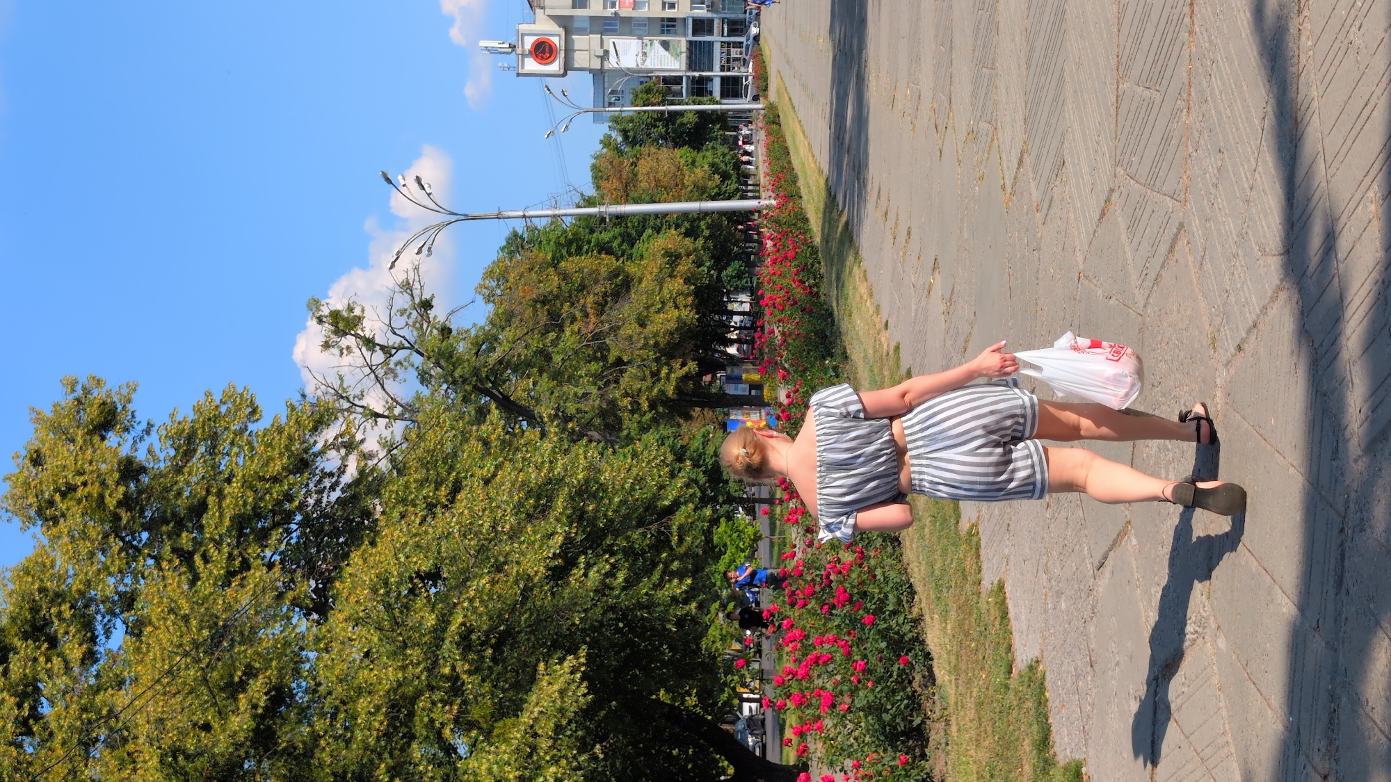 In Poltava, Ukraine, a young woman with blonde hair pulled into a bun walks away from the camera on a paved sidewalk. She is wearing a gray and white striped off-the-shoulder crop top and matching shorts. She carries a white plastic bag in her right hand. The sidewalk is lined with a dense row of vibrant pink roses and green foliage. To the left of the rose bushes, more trees with green leaves are visible, and beyond them, cars are parked along a street. In the background, a modern building with a prominent clock face on its upper facade is visible, alongside streetlights and other trees. The sky is a clear blue with a few scattered white clouds. The scene appears to be a public park or pedestrian area on a sunny day.