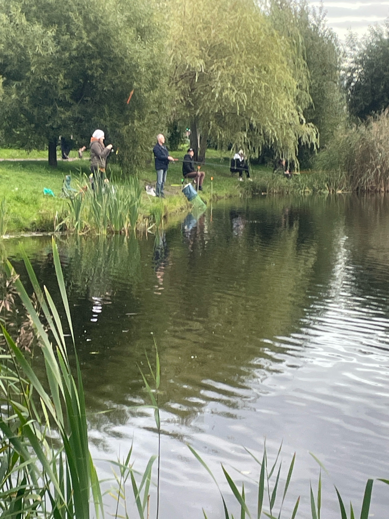 This is a photograph of a group of people fishing by a body of water, likely a lake or pond, with a backdrop of trees and vegetation. The scene appears to be a park or recreational area. Several individuals are visible along the grassy bank, holding fishing rods and actively fishing. One person in the foreground is wearing a white head covering and a brown jacket, while another, further back, is wearing a blue jacket and jeans. There are also other figures scattered along the bank, some sitting and some standing. The water is calm with reflections of the trees and sky. Reeds and tall grass are growing along the edge of the water. The overall impression is a peaceful, outdoor activity. This location is not identifiable as being in Saint Petersburg, Russia, as there are no distinguishing landmarks or features.