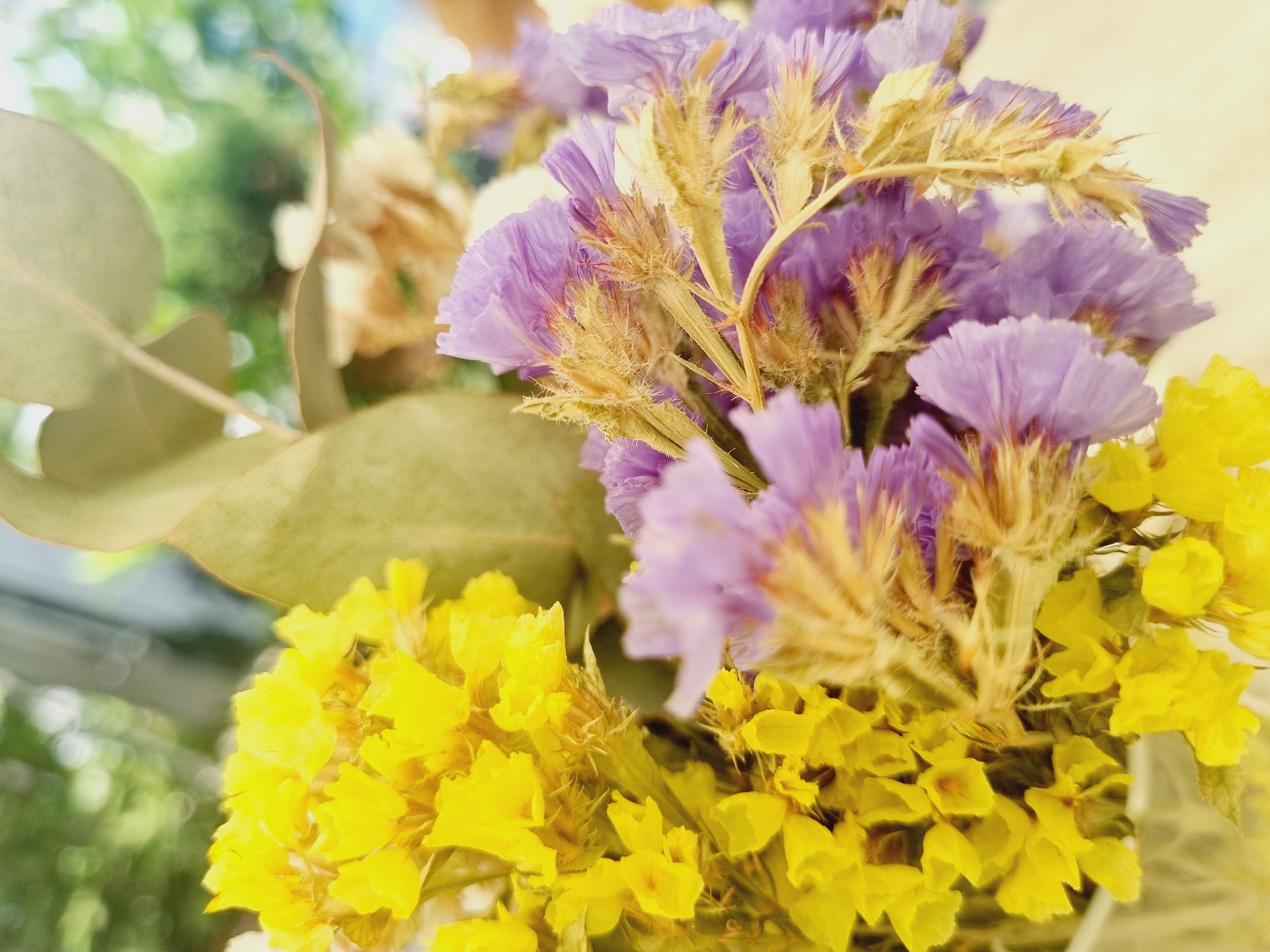 A close-up, shallow depth-of-field shot shows a bouquet of dried flowers. The foreground is dominated by small, bright yellow flowers clustered together. Behind these, a cluster of pale purple flowers with feathery, tan-colored centers is visible. The background is blurred, with hints of green foliage and possibly sky. A large, pale green leaf, likely from a eucalyptus plant, is prominently positioned behind the flowers. The lighting is soft and diffused. The image does not depict any people or specific urban environments.