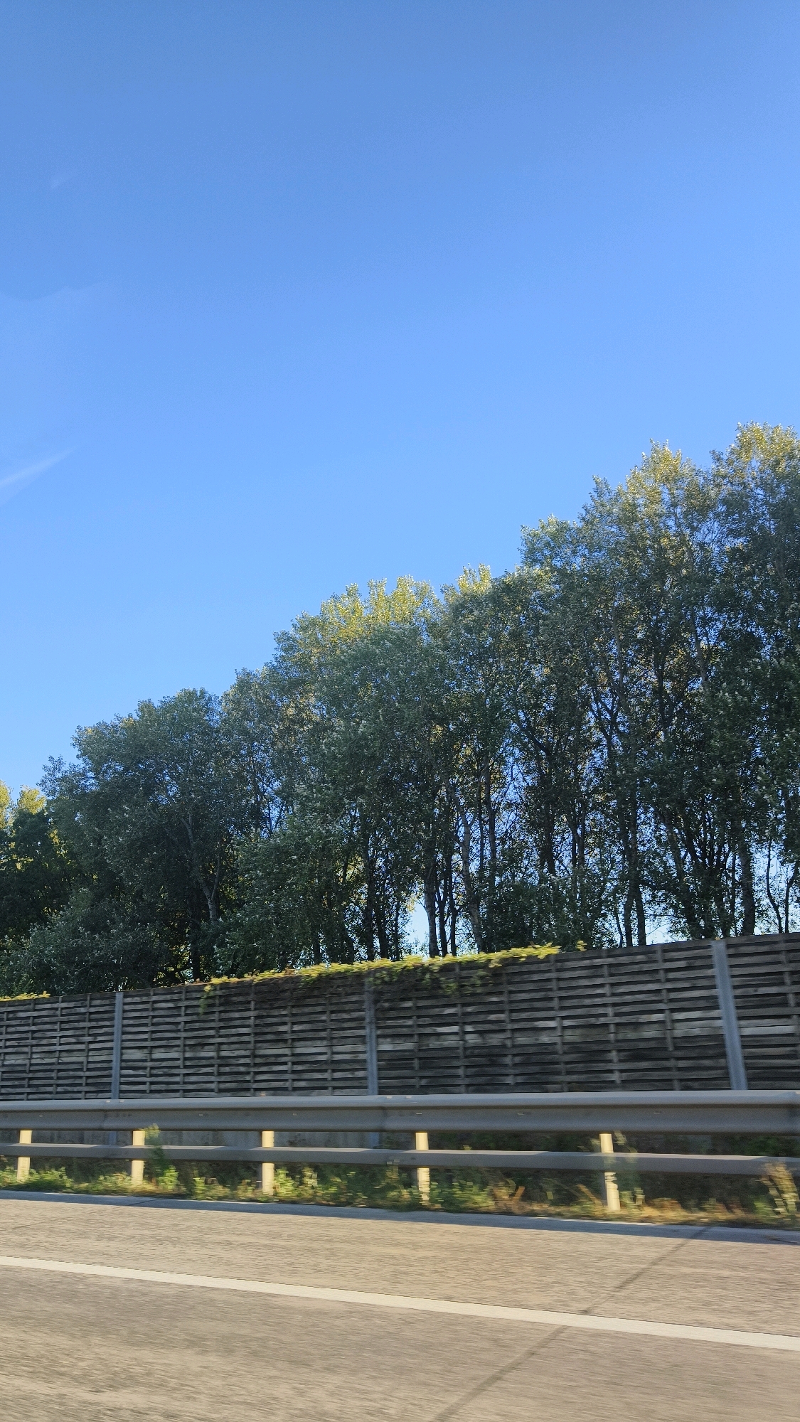 The image shows a highway scene in Spillern, Austria, under a clear blue sky. A row of tall trees with green foliage lines the top of a wooden sound barrier. The sound barrier is a long, horizontal structure made of horizontal wooden slats supported by concrete posts. A metal guardrail runs along the edge of the road in front of the sound barrier. The road surface is visible in the foreground, with a white line marking the lane. The overall scene suggests a typical highway landscape with vegetation and traffic control infrastructure.