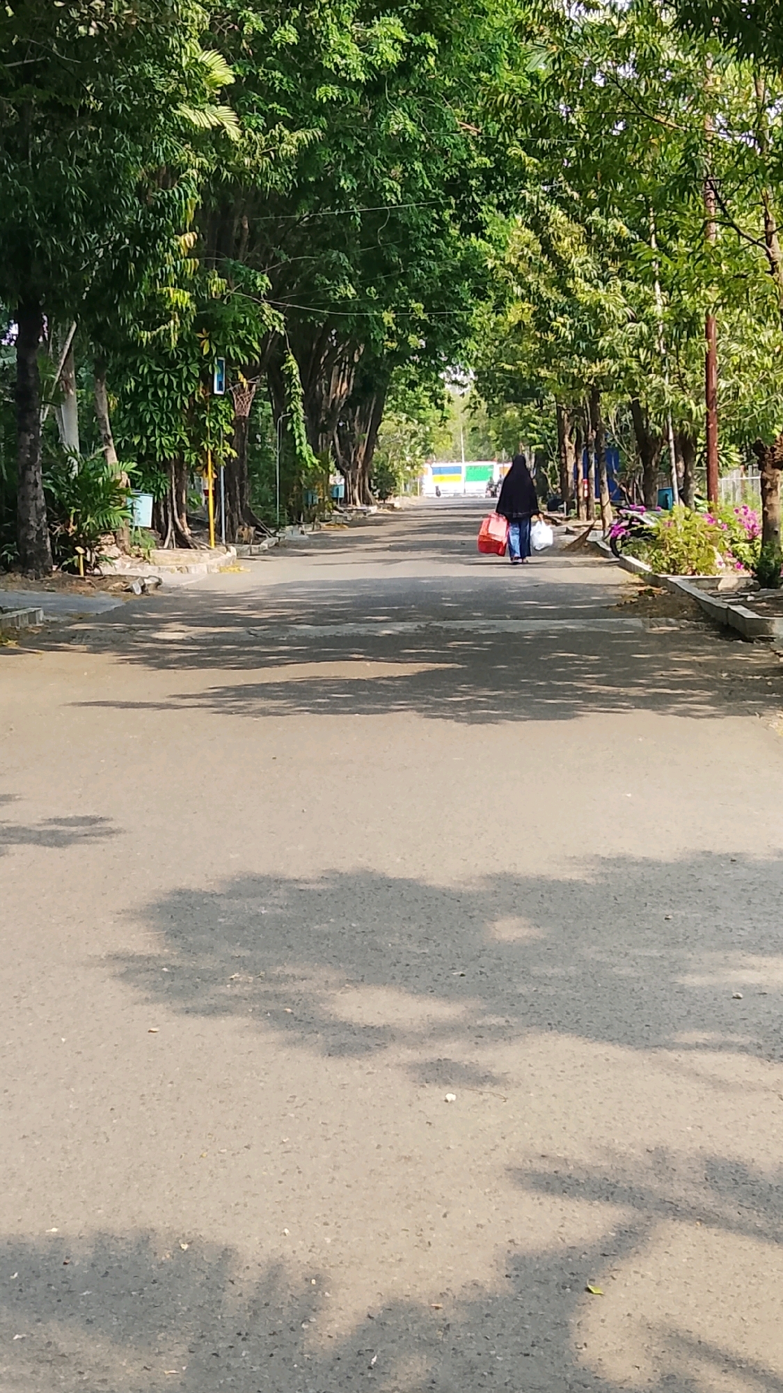 In Tlogobendung, Indonesia, a person walks away from the camera down a paved road lined with trees. The person is wearing a black hijab and blue jeans and is carrying two large, red plastic bags. The road is shaded by the canopy of trees, casting dappled shadows on the asphalt. In the background, there is a white and blue building. The scene appears to be outdoors during the day.