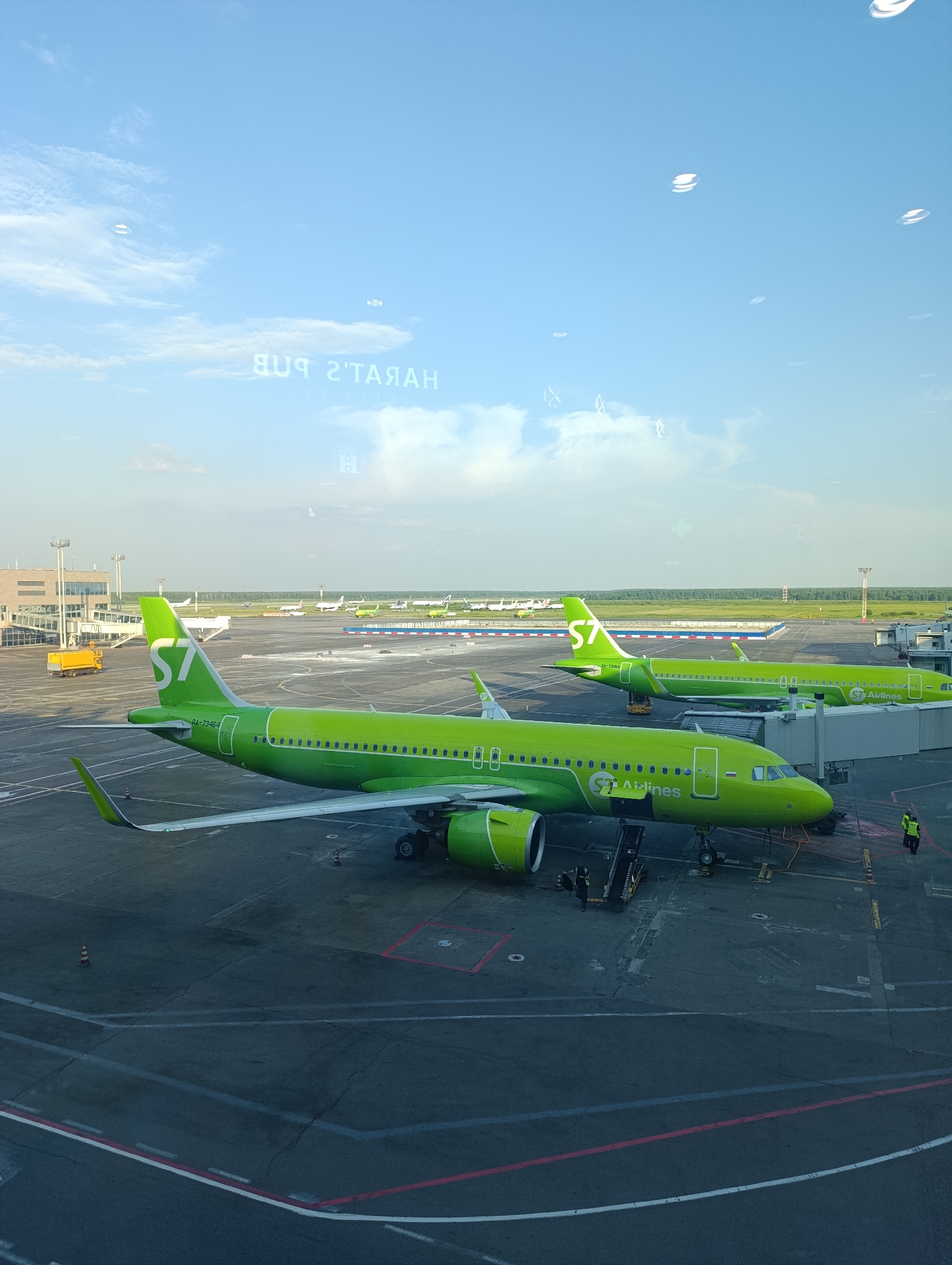 The image shows two bright green S7 Airlines airplanes parked at an airport gate in Domodedovo, Russia. The airplane in the foreground is closer to the viewer, and its registration number RA-73464 is visible on the tail. The second airplane is parked behind the first one. Both aircraft are connected to jet bridges, and several people, likely airport ground crew, are visible near the airplanes. The airport tarmac is visible, with various markings and equipment. In the background, other airplanes and airport buildings can be seen, along with a line of trees and a clear blue sky with scattered clouds. The reflection of a sign reading "HARAT'S PUB" is visible in the upper portion of the image, indicating that the photo was likely taken from inside an airport terminal building.