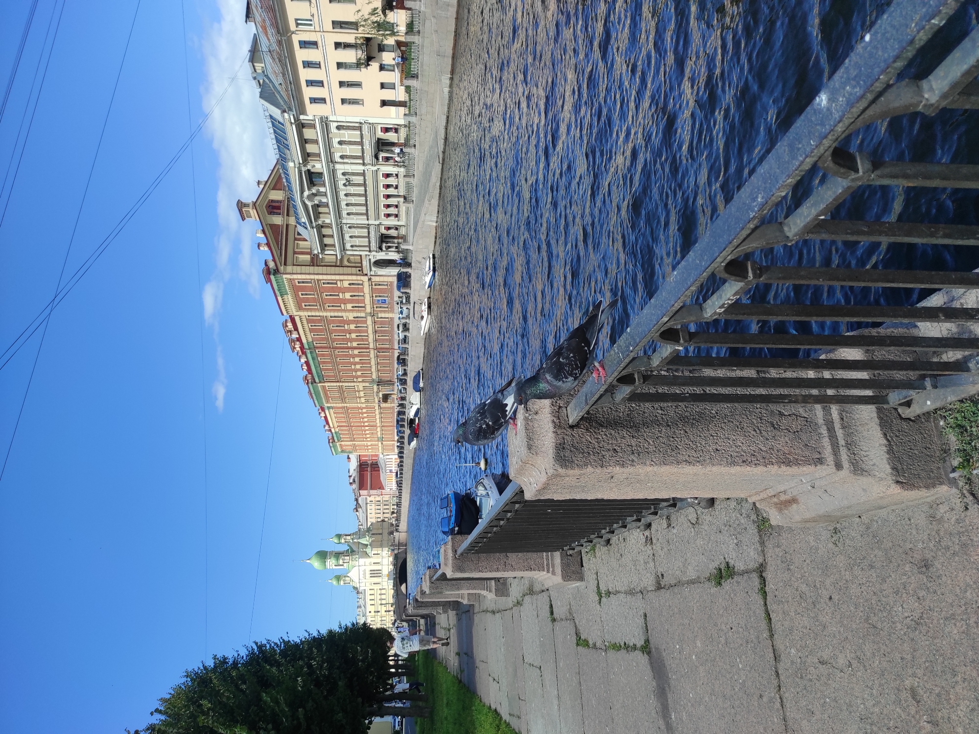 This is a photograph taken on a sunny day of a canal in Saint Petersburg, Russia, likely the Griboyedov Canal. In the foreground, a stone embankment with a metal railing runs along the canal. Two pigeons are perched on the railing, one in focus and the other slightly out of focus. The canal water is a deep blue, reflecting the clear sky. On the opposite bank, a row of multi-story buildings with distinctive architecture lines the canal. One building is a church with green domes, a prominent landmark. Further down the canal, more residential and commercial buildings are visible, with cars parked along the street. A man in a white t-shirt and shorts is walking on the sidewalk along the canal. Trees and grassy areas are also present along the embankment. The overall scene depicts a tranquil urban landscape with elements of historical architecture and daily life.