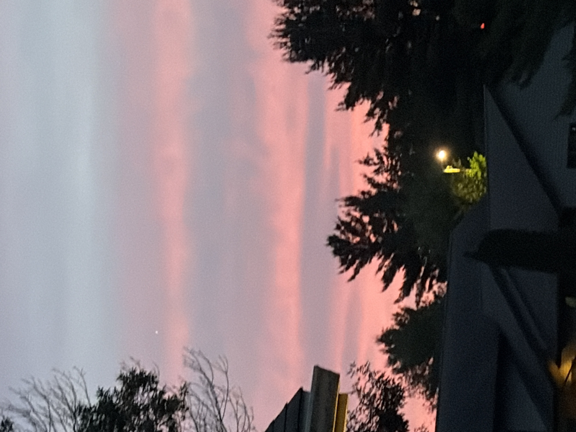 A wide shot captures the sky above Wisconsin Dells, Wisconsin, at dusk. The sky displays a gradient of soft pink and pale gray clouds. Silhouetted against the sky are the tops of evergreen trees and bare branches from a deciduous tree on the left. In the foreground, the dark shapes of rooftops are visible. On the far right, a small, bright red object is visible in the darkness. A lone street lamp illuminates a patch of green foliage on a rooftop in the center of the image. A single bright star or planet is visible in the upper portion of the sky.