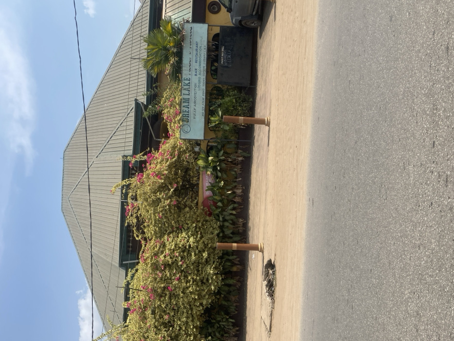 The image depicts the exterior of the Dream Lake Hotel & Suites, located at No 199 Atani Road, Iyiowa Odekpe, Ogbaru L.G.A., Nigeria, under a clear blue sky during daylight hours. The building features a large, grey corrugated metal hip roof. Its lower facade is heavily covered by dense, variegated yellow-green foliage interspersed with vibrant pink bougainvillea flowers. A prominent light blue and white sign, "DREAM LAKE HOTEL & SUITES," is mounted on the building, listing services such as "FULLY AIRCONDITIONED BAR RESTAURANT LODGING ACCOMMODATION." Below the sign, additional green tropical plants are visible against a light yellow section of the building. In the foreground, an asphalt road occupies the lower third of the frame, bordered by a wide, unpaved light brown dirt shoulder. Two brown cylindrical bollards with lighter tops are positioned on this shoulder. A damaged concrete drain grate is visible on the left side of the shoulder. A dark-colored SUV or pickup truck is partially visible, parked on the right side next to the building's apparent entrance. No individuals are present in the scene.
