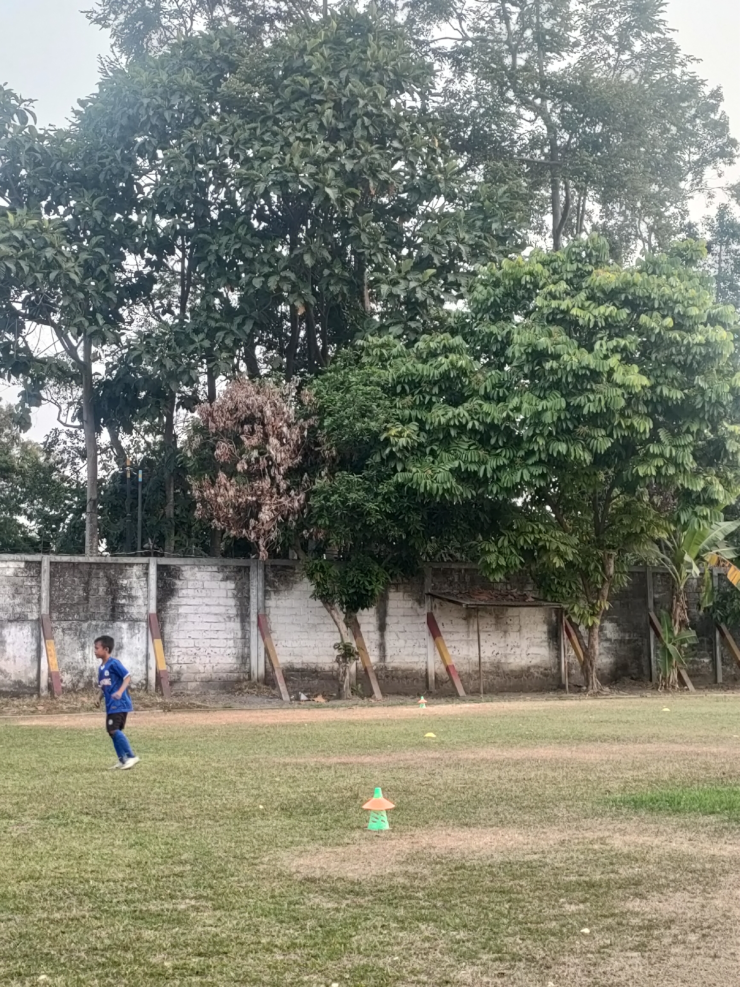 A young boy in a blue soccer uniform is running across a grassy field in front of a white brick wall with wooden posts. The field is marked with orange and green cones. Tall trees with dense green foliage line the background, and some smaller trees and a banana plant are visible near the wall. The sky is overcast. The scene appears to be an outdoor sports field or training area in Banguntapan, Indonesia.