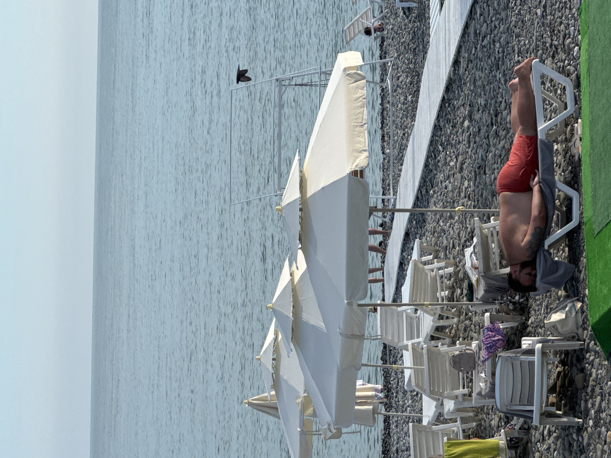 The image displays a sunny beach scene in Sochi, Russia. In the foreground, a man is lying prone on a white plastic lounge chair covered by a grey towel, wearing red swim shorts. Tattoos are visible on his left arm and shoulder. Adjacent to his chair is a white fabric bag. A green artificial turf mat is partially visible in the bottom left corner. The beach surface consists entirely of various grey and brown pebbles. Numerous other white plastic lounge chairs are scattered across the pebble beach, some unoccupied, others holding personal items such as a green towel, a purple garment, and a grey backpack.
Several large, white beach umbrellas are open and positioned over lounge chairs, providing shade. A white slatted walkway stretches horizontally across the midground, extending from the pebble beach towards the water. Partial views of people's legs and feet are discernible near the water's edge under some umbrellas. On the right side, a tall, white metal structure, consistent with a lifeguard stand or observation platform, is partially visible. The background features a vast expanse of calm, blue-grey sea that meets a clear, light blue, almost white sky at the horizon. A dark bird is captured in flight over the sea, positioned in the upper right quadrant of the image, above the metal structure.