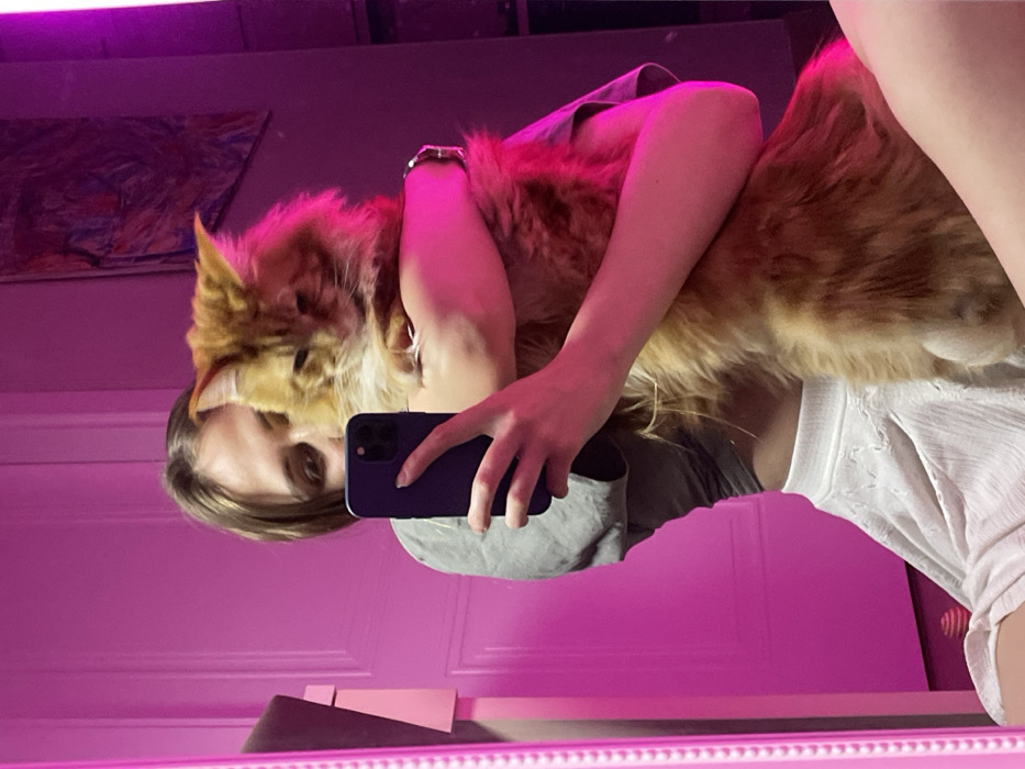 A selfie captures a woman holding a large, fluffy orange cat. Her face is partially obscured by the cat's head and her phone. She's wearing a gray t-shirt and a white top is visible. The reflection is in a mirror, showing a room lit with pinkish-purple light. A painting hangs on the wall in the background.