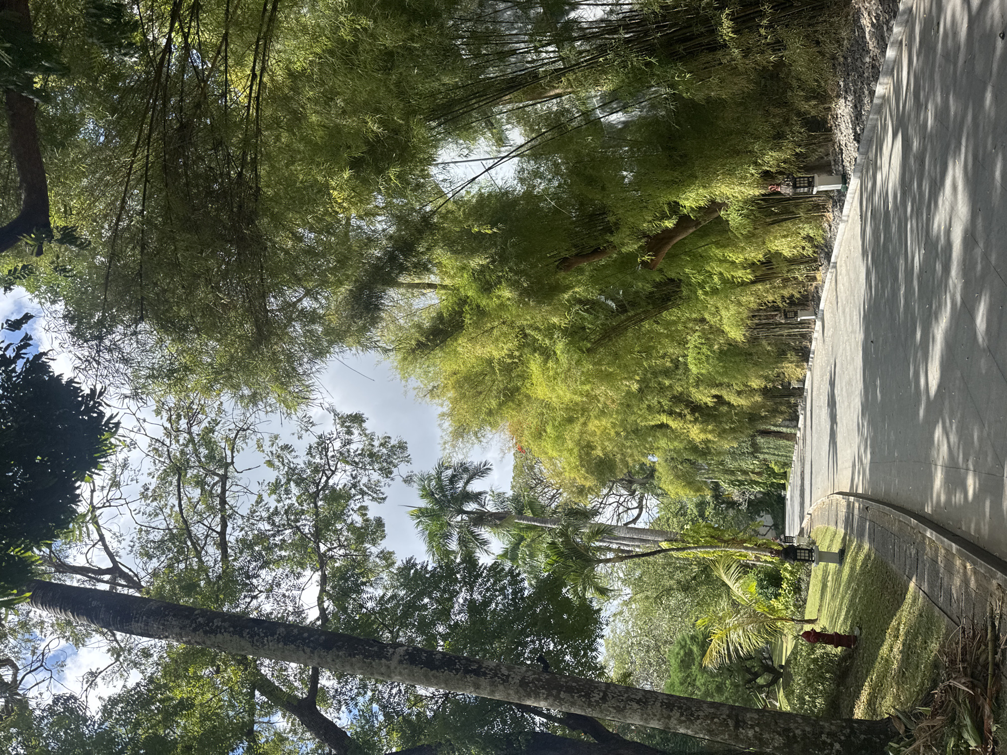 The image depicts a paved pathway winding through a lush, tropical environment. Tall trees, including palms and bamboo, flank the pathway, creating a canopy overhead with dappled sunlight filtering through. The pathway is lined with manicured green grass on the left, featuring a red fire hydrant and decorative lampposts. The right side of the pathway is bordered by a dense growth of bamboo and decorative stones. The scene suggests a serene, well-maintained outdoor space, potentially a garden or resort. The sky is partly cloudy. There are no people visible in the image. The location is identified as Kuta Selatan, Indonesia.