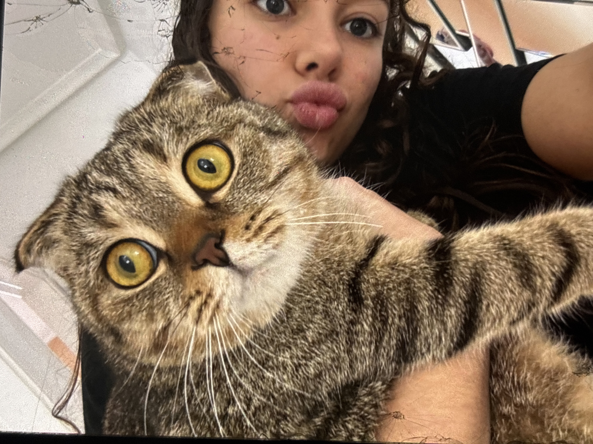 The image shows a close-up of a person holding a tabby cat. The person is making a puckered-lips expression, and the cat's face is also prominently featured, with large, yellow eyes. The background appears to be an indoor setting with white walls and some light fixtures. There are visible scratches and digital noise artifacts on the image, suggesting it might be a screenshot or a lower-quality digital photo. The location in the city of Orihuela, Spain, cannot be determined from the visual information provided in the image.