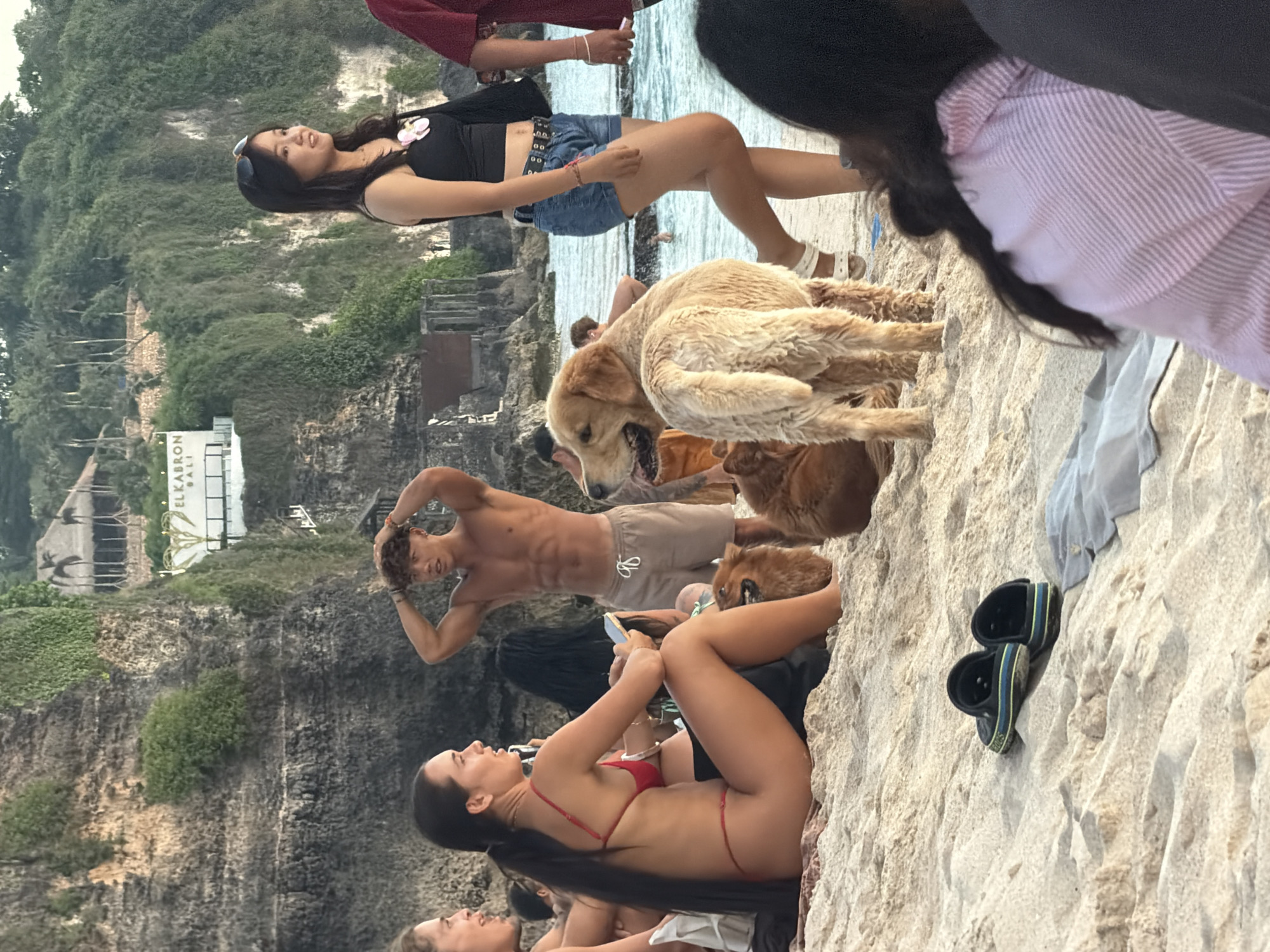 The image captures a scene on a sandy beach in Kuta Selatan, Indonesia, known for its coastal landscapes. Several individuals are present. A woman in a black crop top and denim shorts stands near the water, while another woman in a red bikini is reclining on the sand. A man with a bare torso is adjusting his hair. Several golden retriever dogs are visible, some standing and some lying on the sand. The background includes a cliffside covered with vegetation, and a building with the sign "EL KABRON BALI" is seen on top of the cliff. A pair of black and green Crocs are on the sand. Other indistinct figures are scattered around the beach.