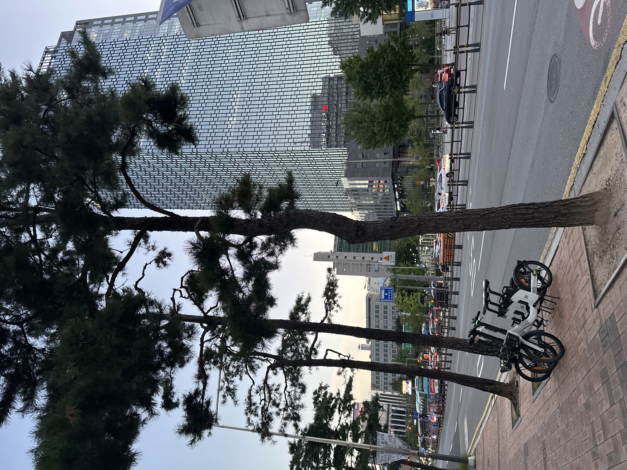 The image depicts a street scene in Seoul, South Korea. In the foreground, two white electric scooters are parked on a brick-paved sidewalk. The scooters have black baskets and are side-by-side. Behind the scooters, several tall pine trees stand, their branches obscuring parts of the background.
The middle ground of the image shows a busy street with multiple lanes of traffic. Cars and buses are visible, moving in the same direction. The street is lined with black bollards and a metal fence.
In the background, a modern, glass-facade skyscraper dominates the skyline. The building has a grid-like pattern of windows and appears to be illuminated from within. To the left of the skyscraper, other multi-story buildings, some with signage, are visible. A tall white building with a cylindrical structure on top is also present. The sky is overcast with a pale, diffused light, suggesting it might be early morning or late evening. The overall impression is an urban environment with a mix of nature and modern architecture.