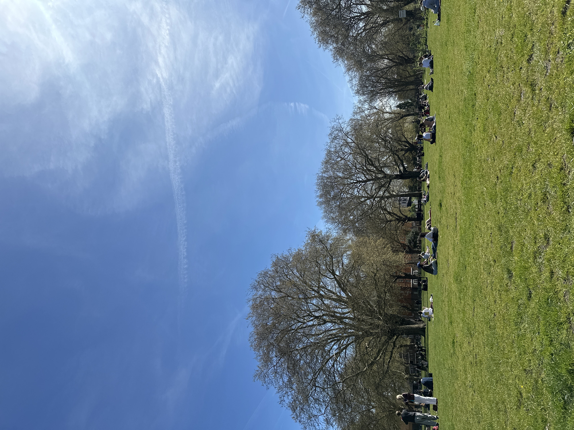 The image captures a sunny day in a park in London, United Kingdom. Lush green grass covers the ground, punctuated by several large, bare trees. People are scattered across the grass, many of them are lying down and relaxing in the sun. Some individuals are standing and interacting with each other. The sky is a clear, bright blue with some wispy clouds and a contrail visible. Buildings can be seen in the background, behind the line of trees.