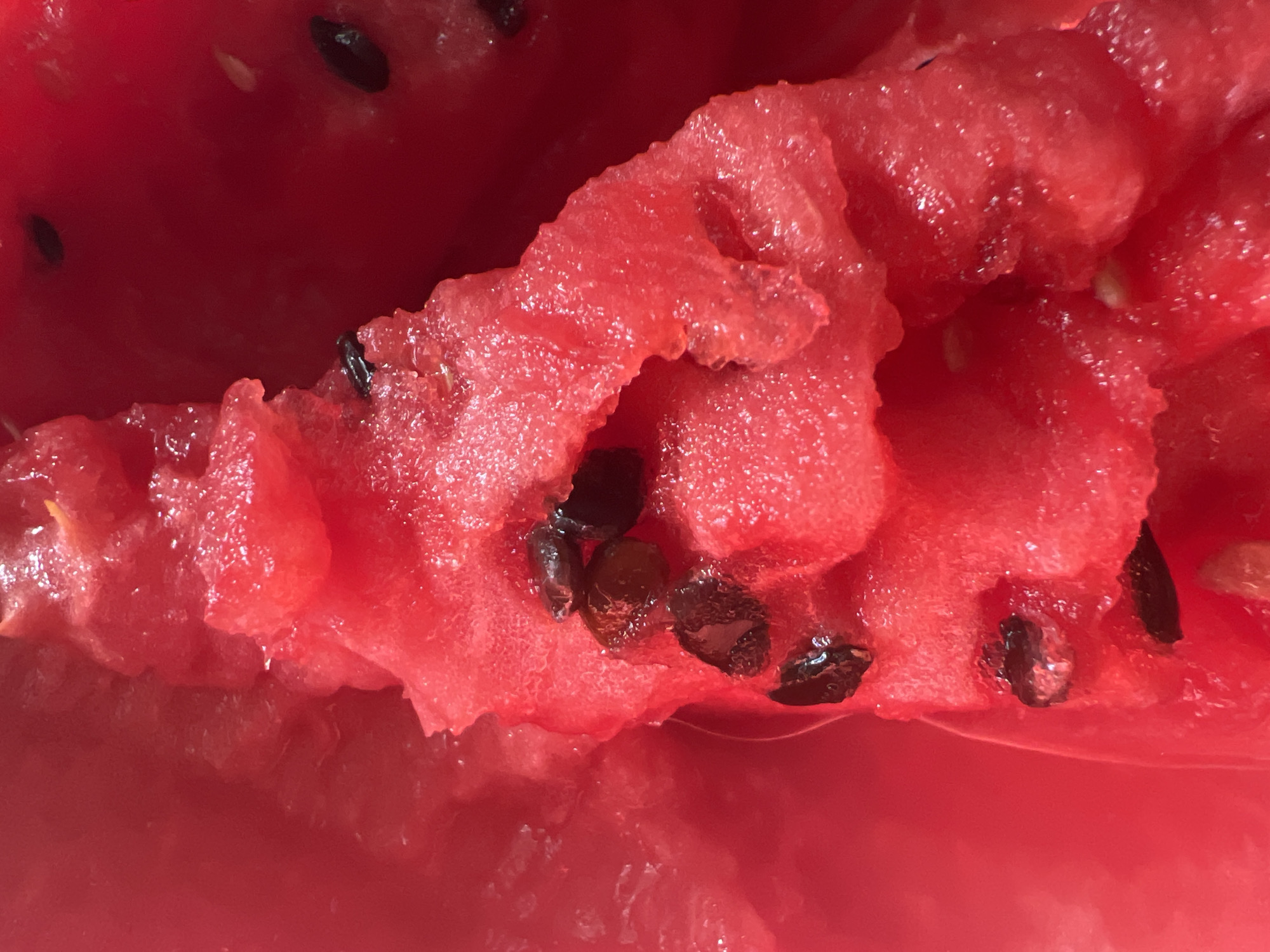 A close-up, extreme-angle shot shows the interior of a watermelon. The flesh of the watermelon is a vibrant red and has a glistening, juicy appearance. Scattered throughout the flesh are several dark, oval-shaped watermelon seeds. The texture of the watermelon flesh appears slightly rough and fibrous, with some areas showing the stringy pulp. The lighting is bright and reflects off the wet surfaces of the fruit, creating highlights. The image is taken from a perspective that emphasizes the texture and details of the watermelon's interior.