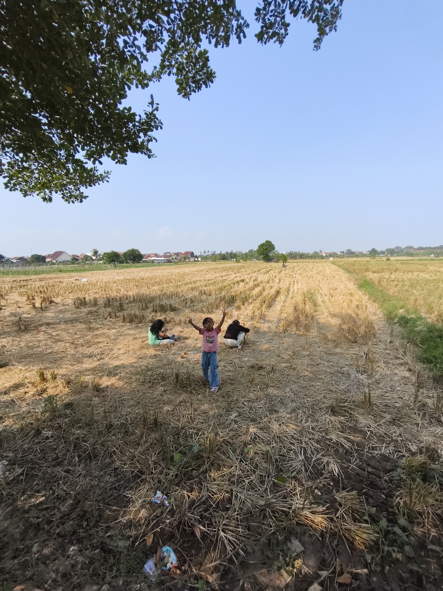The image depicts a dry, harvested rice field under a clear blue sky. In the foreground, a young girl in a pink shirt and blue jeans stands with her arms raised, facing the camera. To her left, another young girl in a green shirt sits on the ground, looking down. A dark-colored object, possibly a dog or a bundle of cloth, lies near the seated girl. In the background, a row of houses with red tile roofs stretches across the horizon, indicating a rural or semi-rural residential area. The field is covered with dry straw and stubble, remnants of the harvested rice crop. The scene appears to be set in the late morning or early afternoon, given the bright sunlight and distinct shadows. The location is identified as Bandar Lampung, Indonesia, a city known for its agricultural landscapes and coastal proximity.