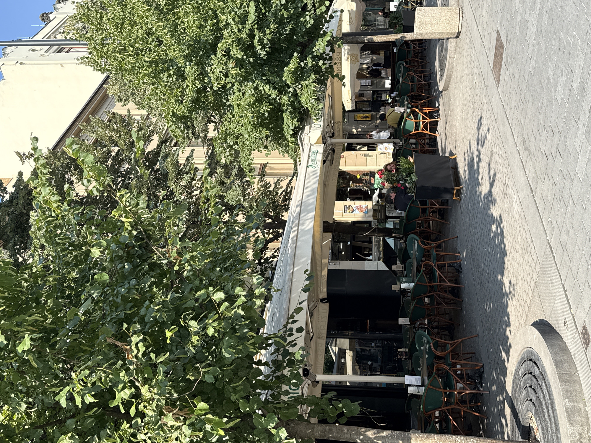 The image depicts an outdoor seating area of a cafe or restaurant in Prague, Czechia, on a sunny day. Several trees with green foliage provide shade over tables and chairs. The cafe appears to have a white awning covering part of the outdoor space, with the logo "Pilsner Urquell" visible on it. Numerous dark green chairs with wooden frames are arranged around tables, some of which are occupied by patrons. In the background, buildings with light-colored facades are visible, characteristic of Prague's architecture. The ground is paved with cobblestones. A circular metal grate, possibly for drainage or a tree planter, is located in the foreground. The overall scene suggests a lively, yet relaxed, atmosphere typical of European city cafes.