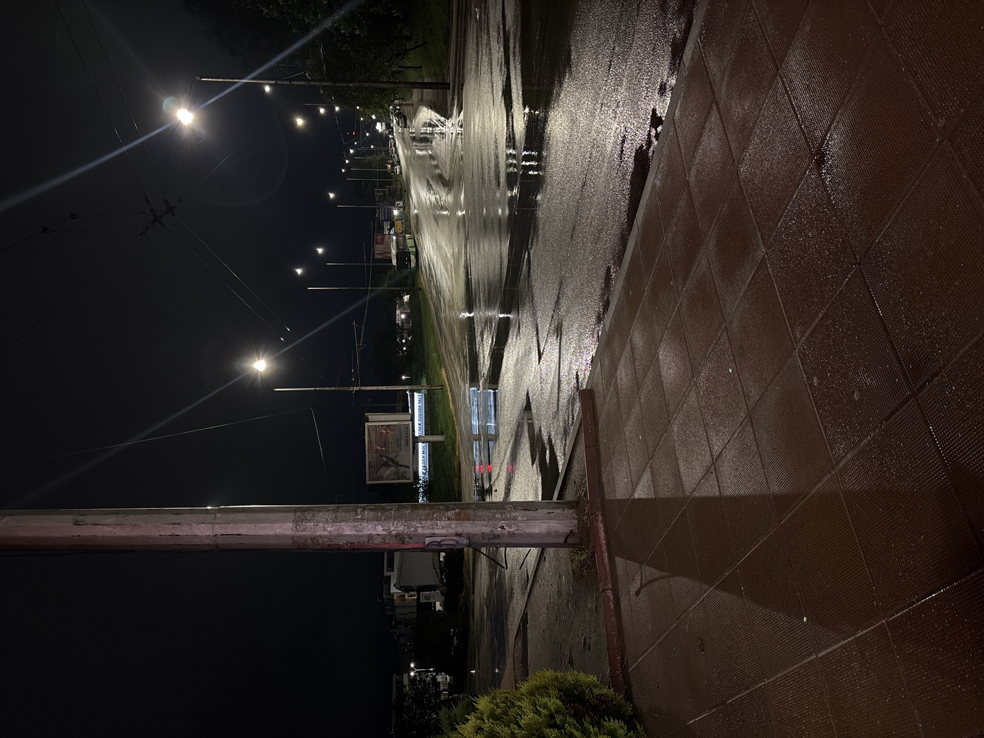 The image shows a wet city street at night in Pleven, Bulgaria. The street surface reflects the light from street lamps, creating bright streaks. A tiled sidewalk runs along the right side of the frame, also glistening with moisture. A utility pole is visible in the foreground, with wires extending towards the streetlights. A small bush is at the very bottom of the frame. Further down the street, a billboard is visible. The scene is dark overall, with artificial lights illuminating the wet surfaces.