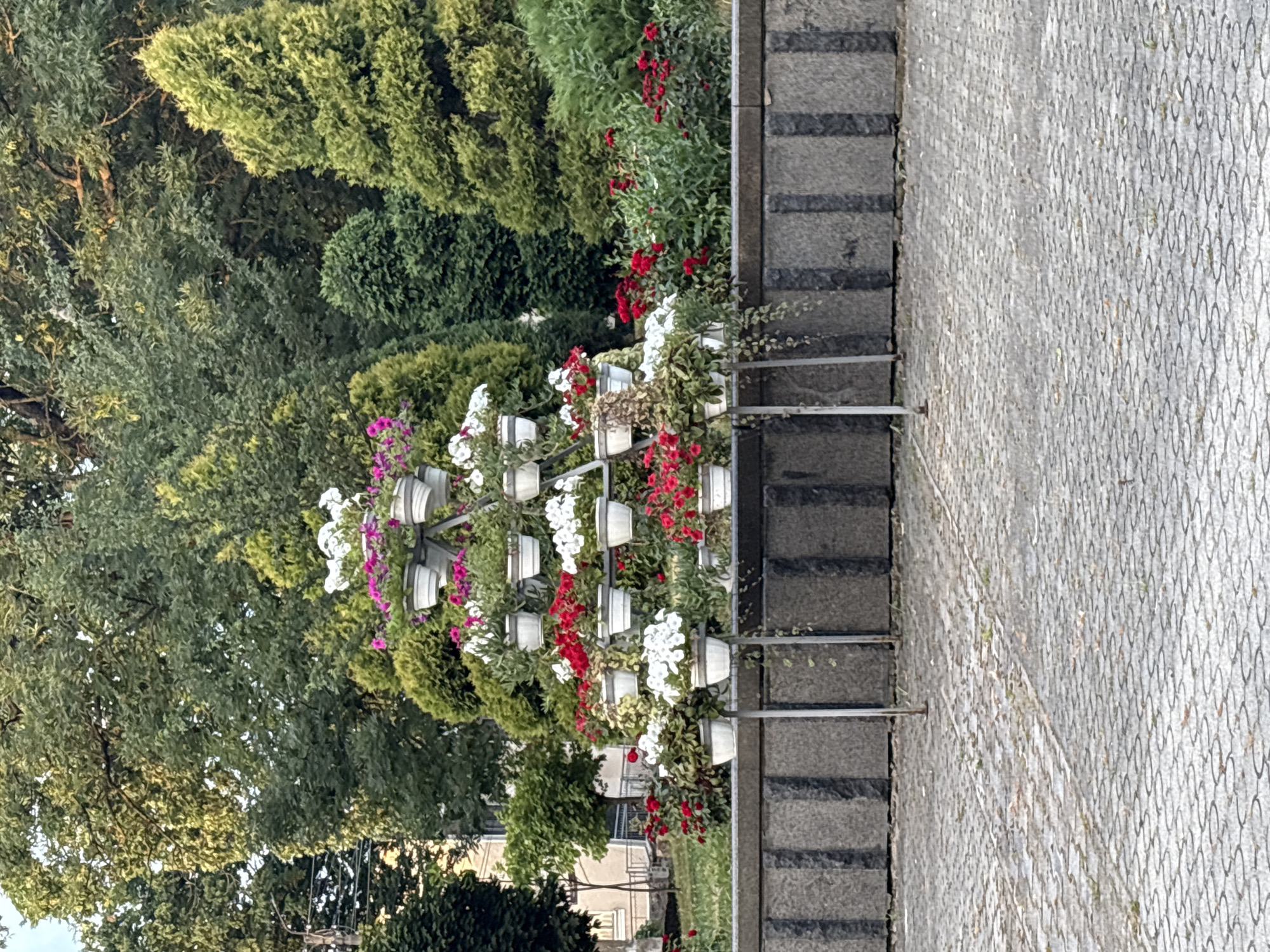 In the city of Kalush, Ukraine, a tiered plant stand displays a variety of flowering plants. The stand holds numerous white pots filled with white and pink petunias, as well as red and white flowers. The plant stand is situated in front of a stone wall, which is bordered by a paved area. Behind the wall and plant stand, a lush green garden area features more red and white flowers, along with various shrubs and trees. The background is dominated by dense foliage of mature trees. The scene captures an outdoor setting, likely a park or public garden, during daylight hours.