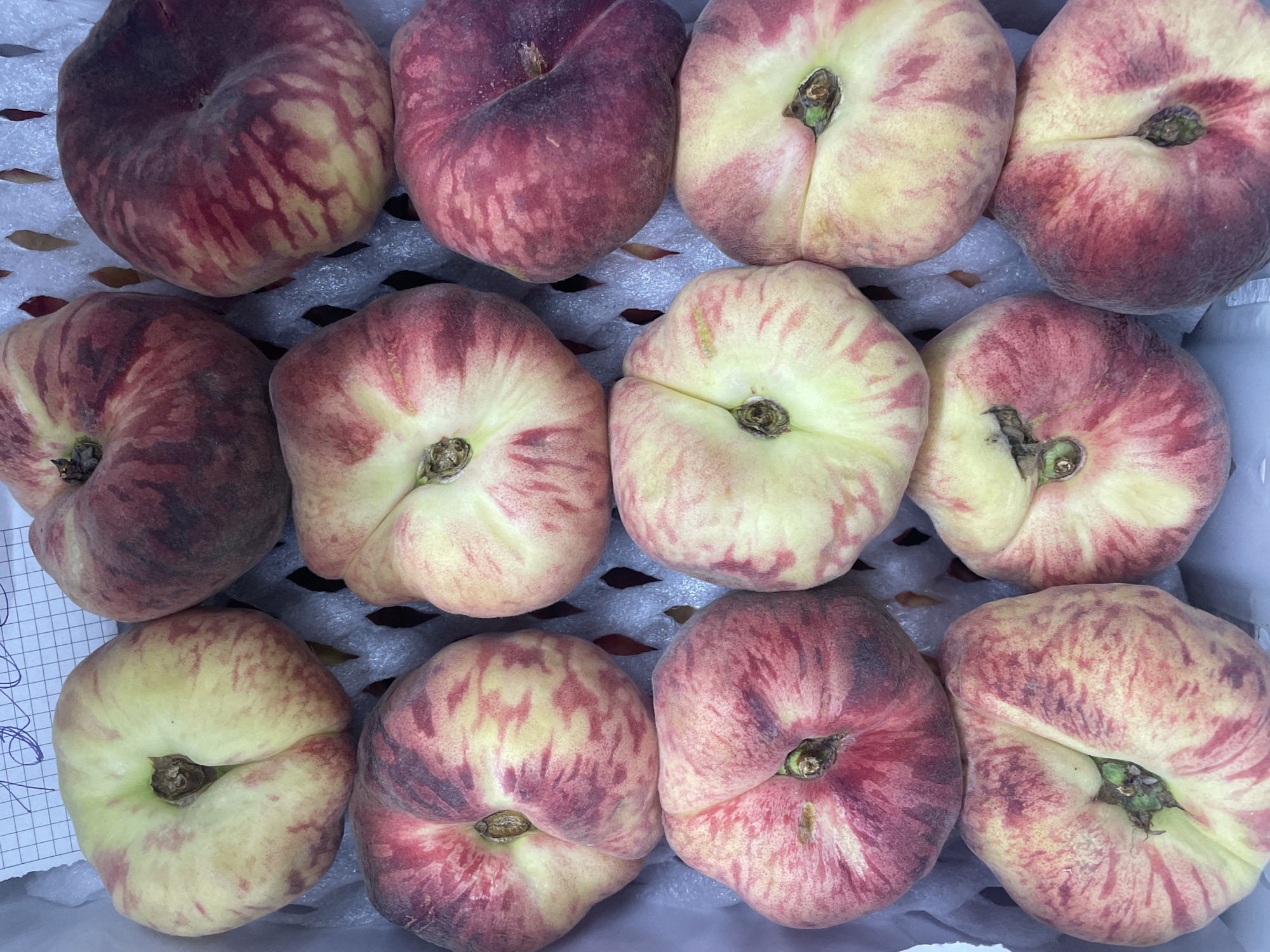 A top-down, close-up shot showcases a box filled with ripe Saturn peaches, also known as flat peaches or donut peaches. The peaches are arranged in a grid-like pattern, with twelve visible fruits. Each peach displays a distinctive flattened shape and a deep indentation at the center. Their skin is a vibrant gradient of creamy yellow to deep crimson, streaked with darker red patterns, indicating their ripeness. The peaches are nestled in a white, honeycomb-like packaging material, which is commonly used to protect delicate fruits during transport or display. The overall scene is one of fresh produce, likely at a market or point of sale. There is no identifiable location within the city of Almaty, Kazakhstan present in the image.