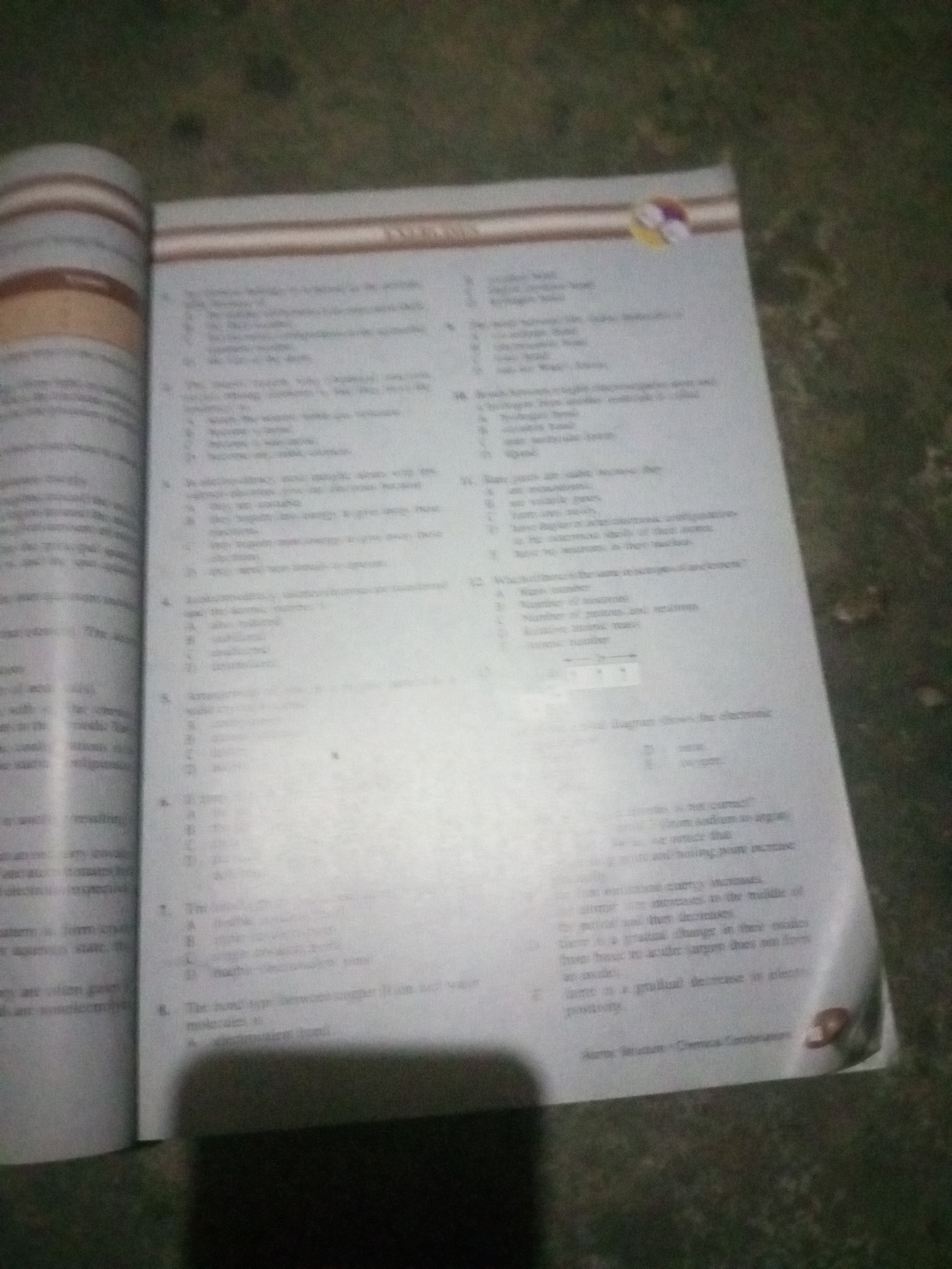 Memory