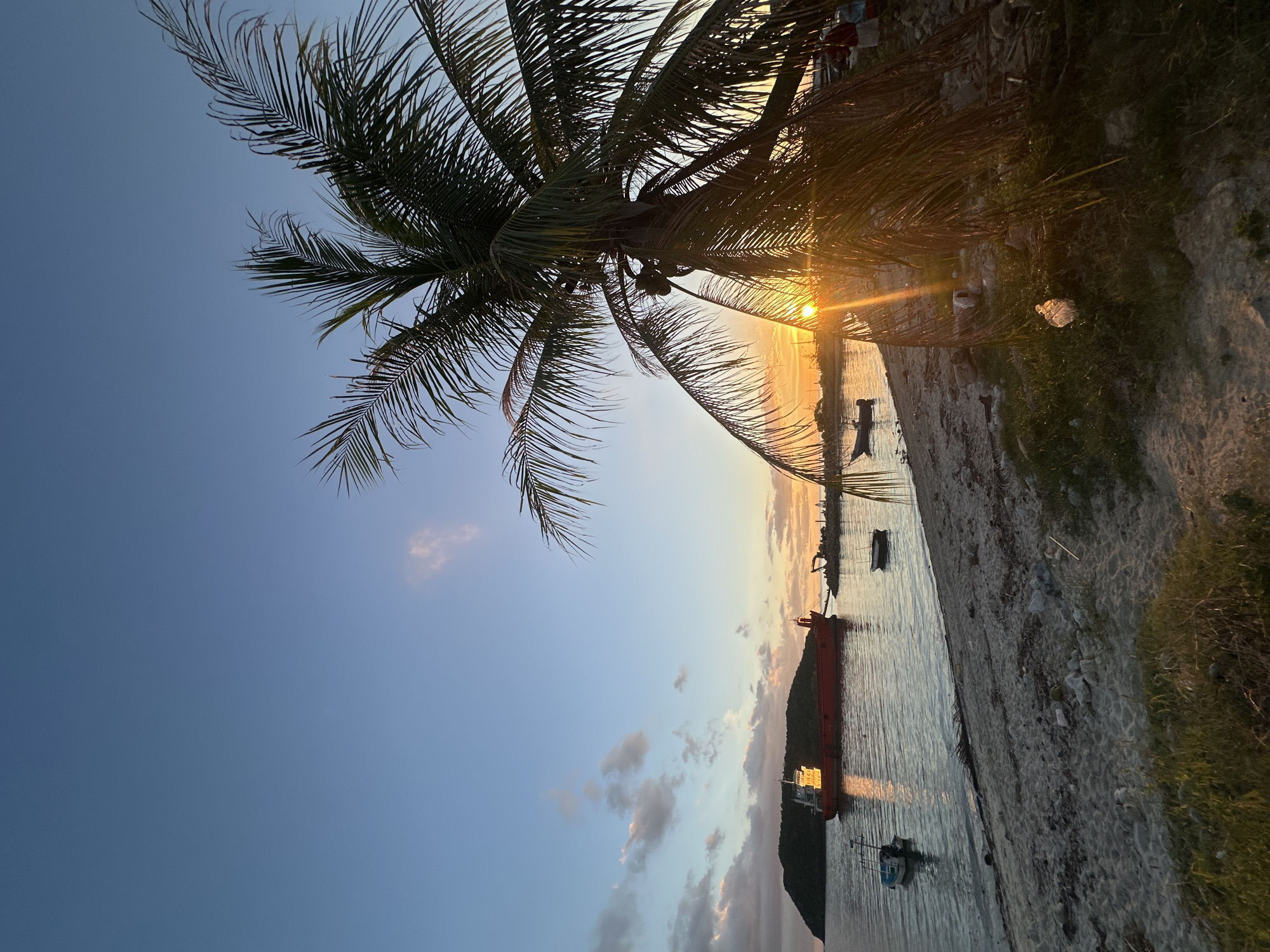 This is a vertical, eye-level, medium shot of a tropical beach scene at sunset. In the foreground, a sandy beach littered with debris is visible, with a patch of green grass to the right. The middle ground features a calm body of water reflecting the warm hues of the sunset. A large red cargo ship is anchored in the distance, with smaller boats scattered around it. To the right, the sun is setting behind a silhouette of palm trees, casting long shadows and creating a lens flare effect. The sky is a gradient of blue, fading into orange and pink as it meets the horizon. The background shows a distant island covered in lush vegetation. The scene appears to be located in Koh Phangan, Thailand, based on the provided context.