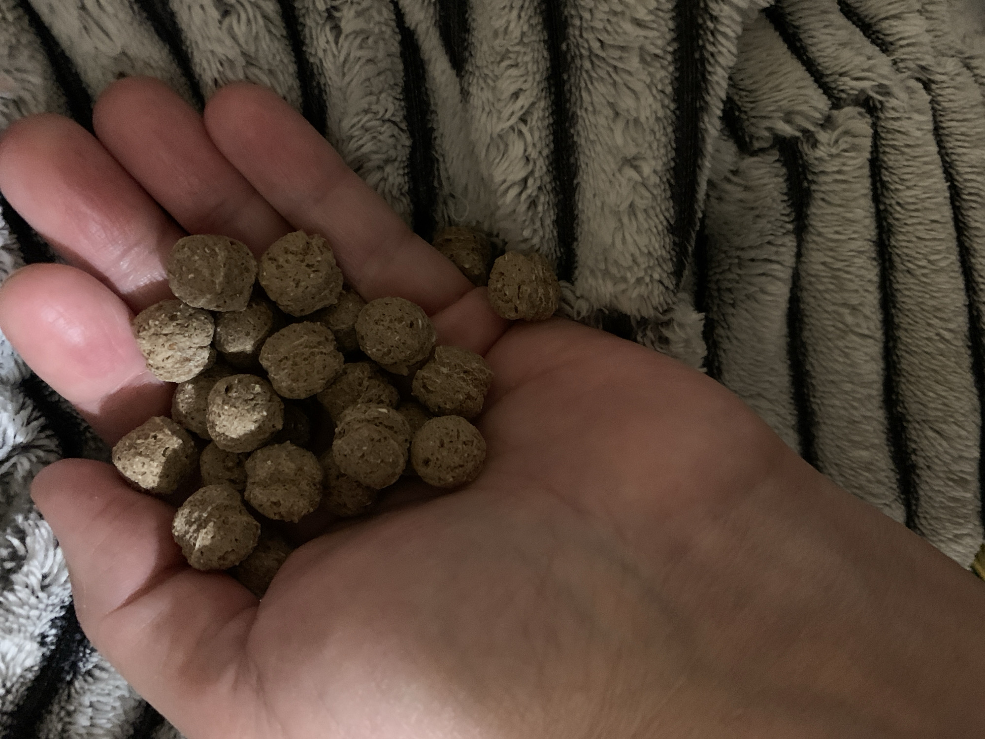 A human hand is holding a pile of small, brown, textured pellets. The background shows a gray and black striped, textured fabric.